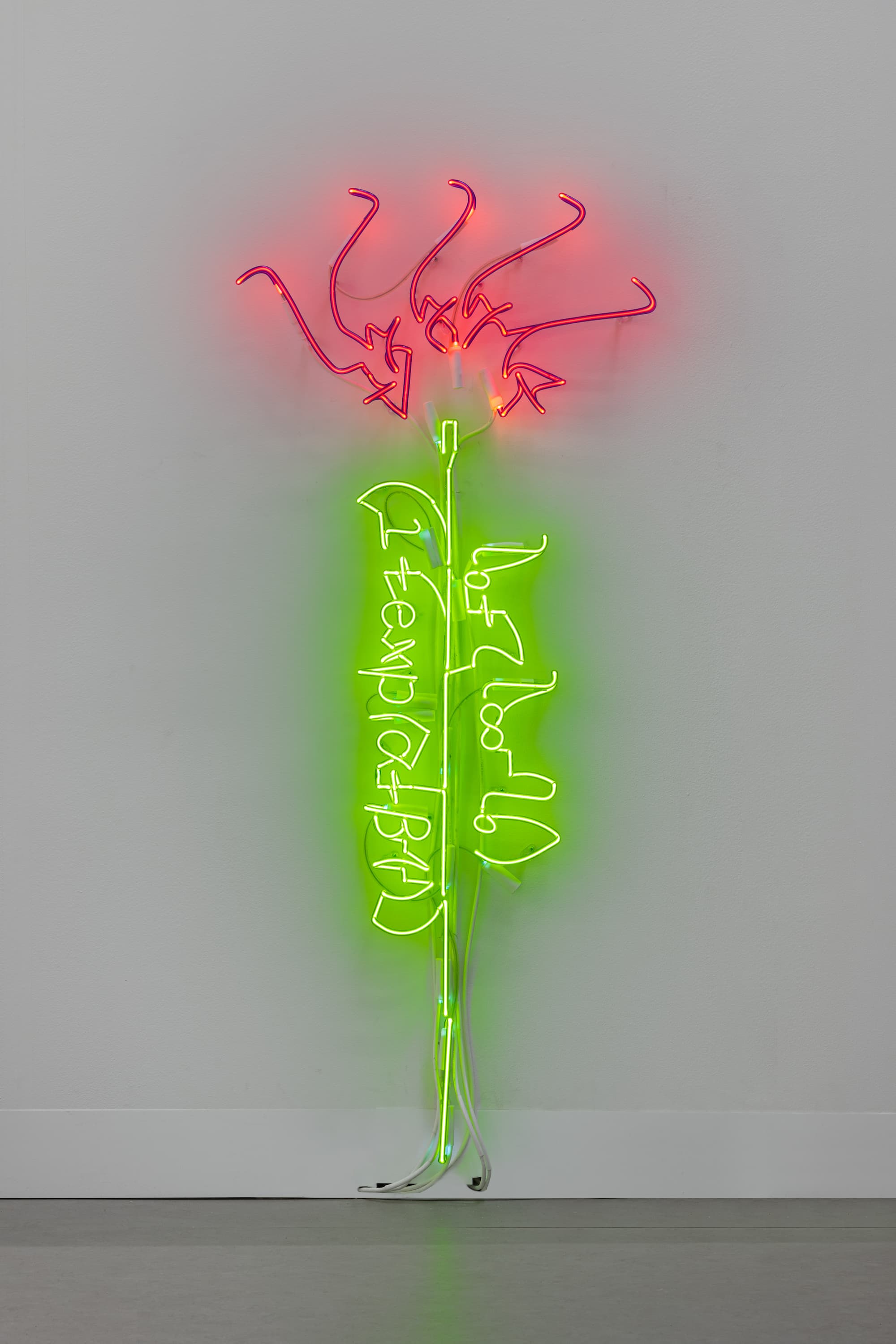 A Model for Peony Stem Elongation where y is 52”
Photography by Nicola Morittu,  
Courtesy of Labor