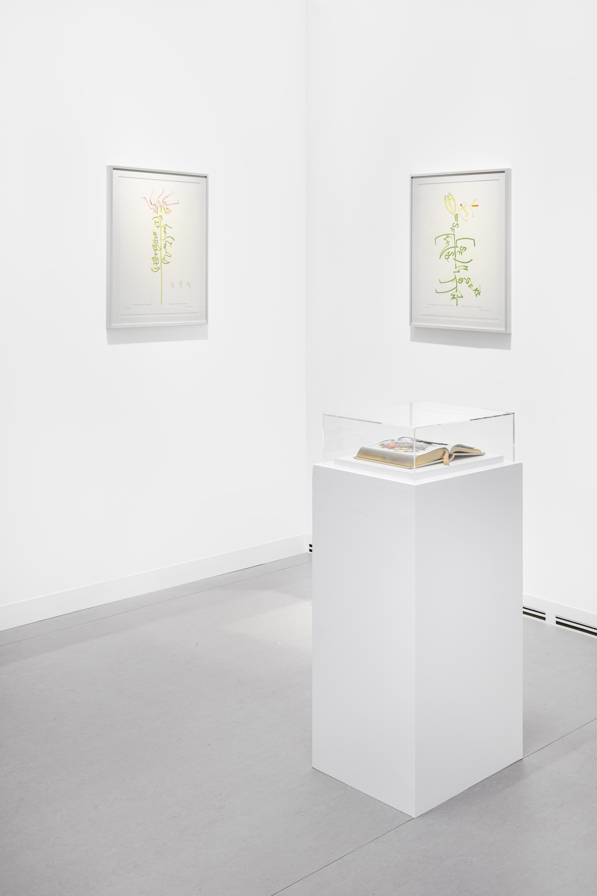 Installation view of solo presentation at Art Basel Paris + with Labor Gallery, 2024, Photography by Nicola Morittu, Courtesy of Labor Gallery