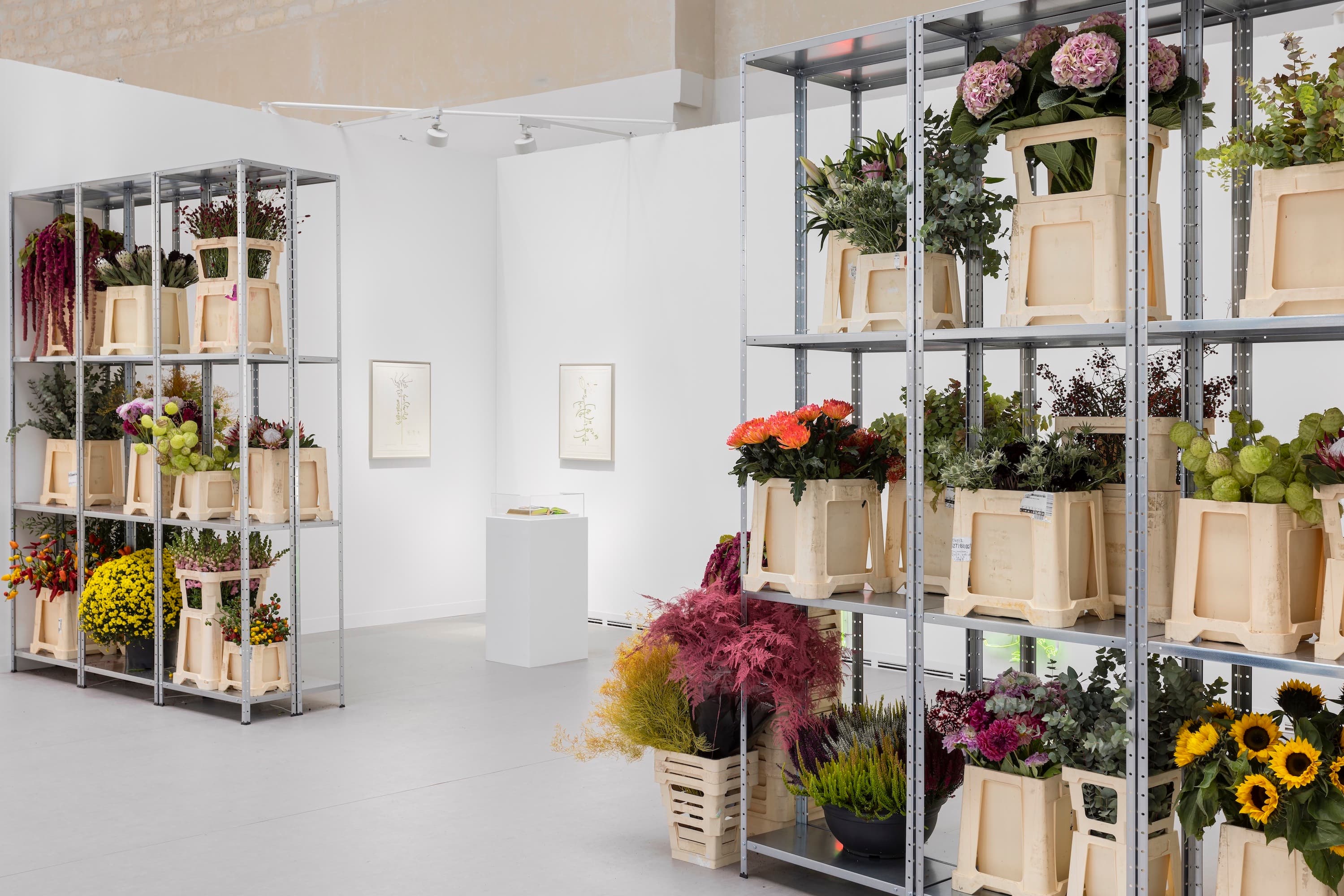 Installation view of solo presentation at Art Basel Paris + with Labor Gallery, 2024, Photography by Nicola Morittu, Courtesy of Labor Gallery