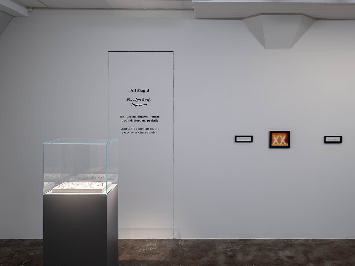 Foreign Body Ingested, 2022. Installation view. Magasin III Museum for Contemporary Art. Photo: Jean-Baptiste Béranger