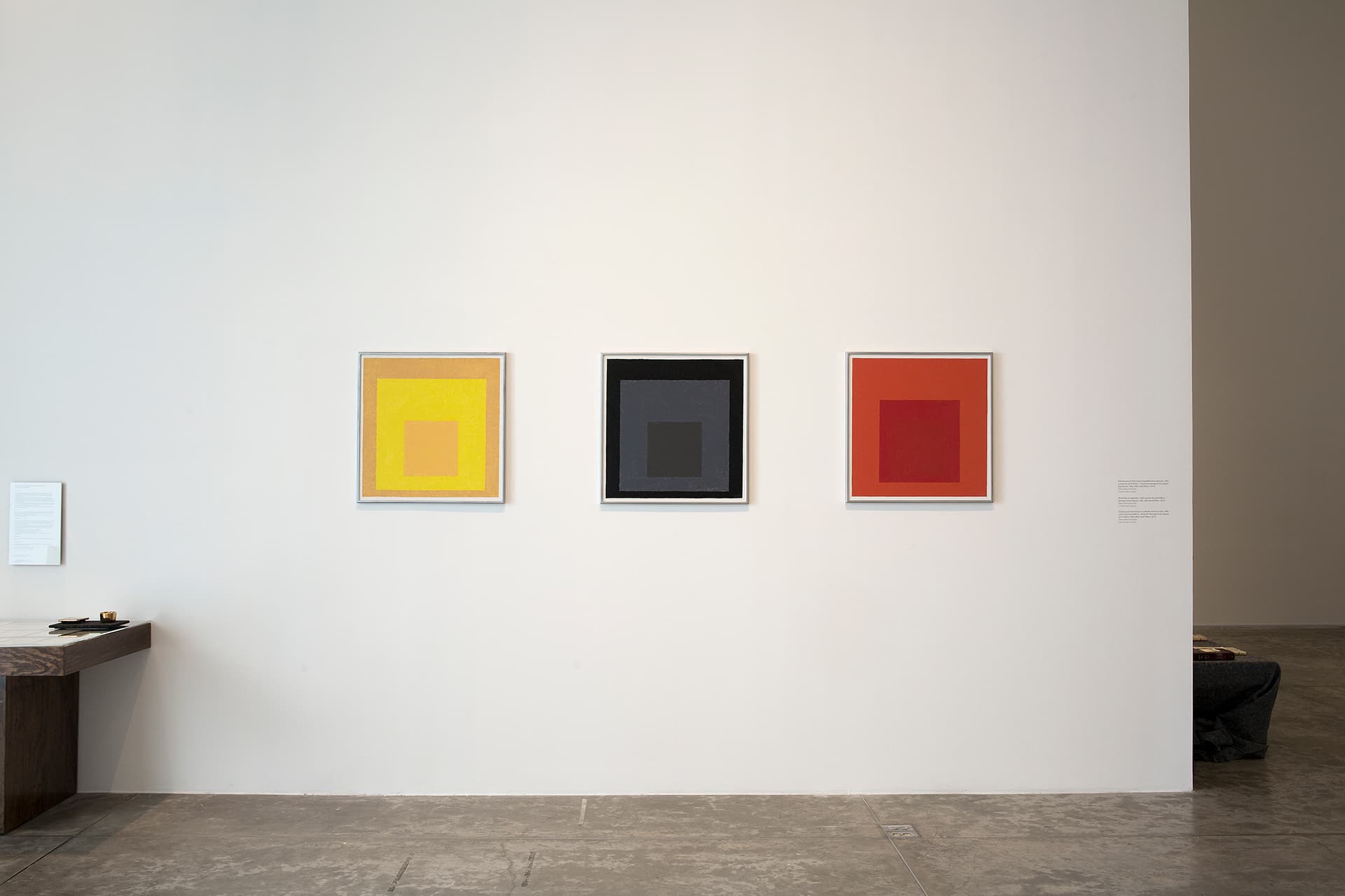 Installation view, MUAC