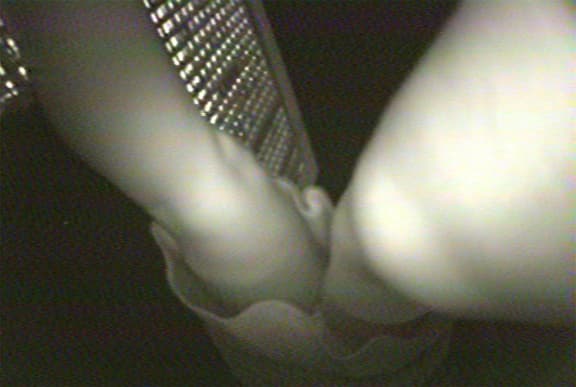 Legoland (video still). Digital video. 5:58 min. 2000