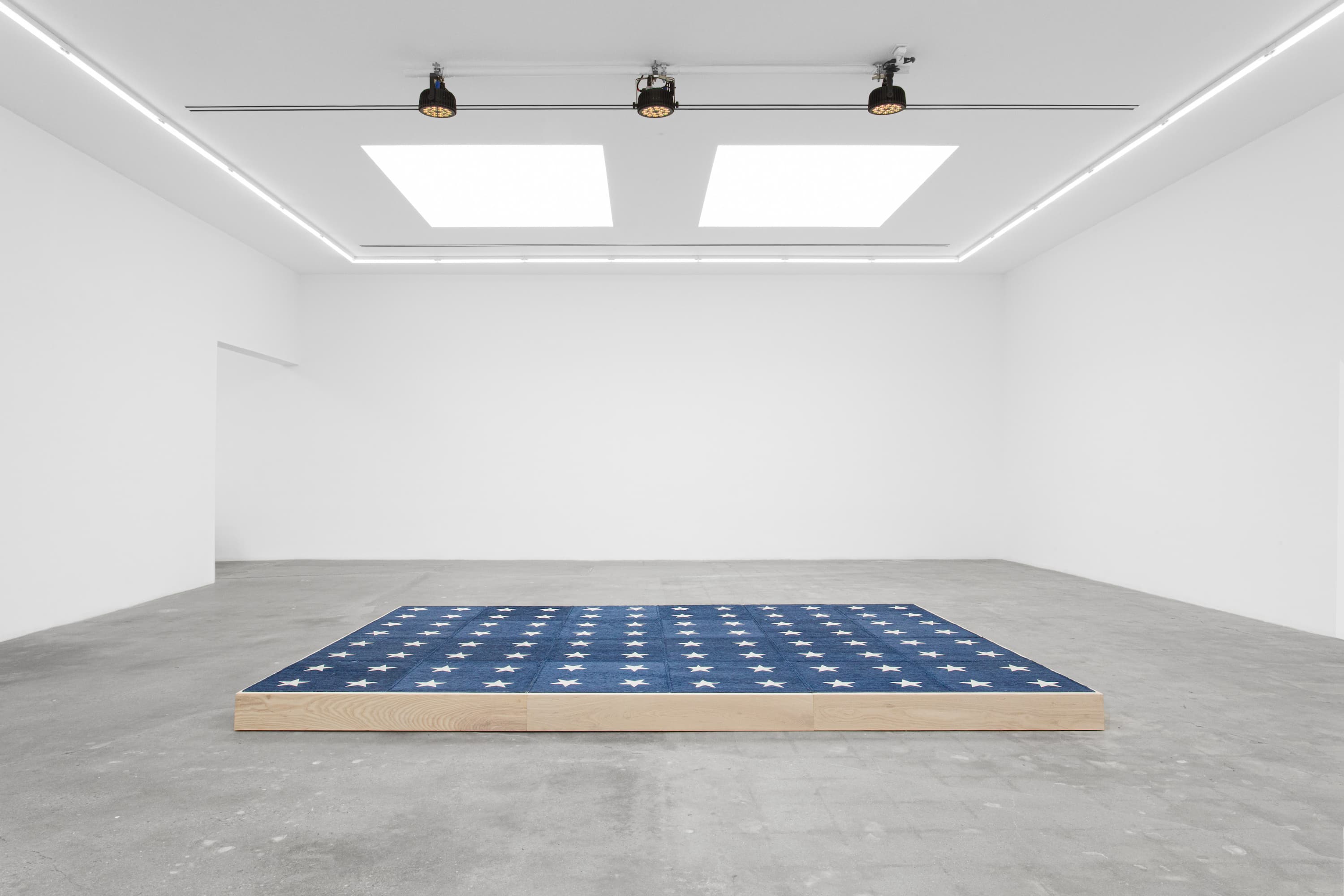 The Platform (U.S. General Elections, 2026), 2025, raised wooden platform with dye sublimated carpet, documents, 6.25” x 145” x 97”
