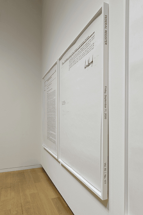 Image courtesy of the Modern Art Museum of Fort Worth. Photograph by Kevin Todora.
