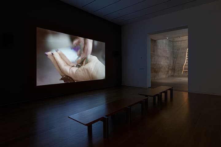 Image courtesy of the Modern Art Museum of Fort Worth. Photograph by Kevin Todora.