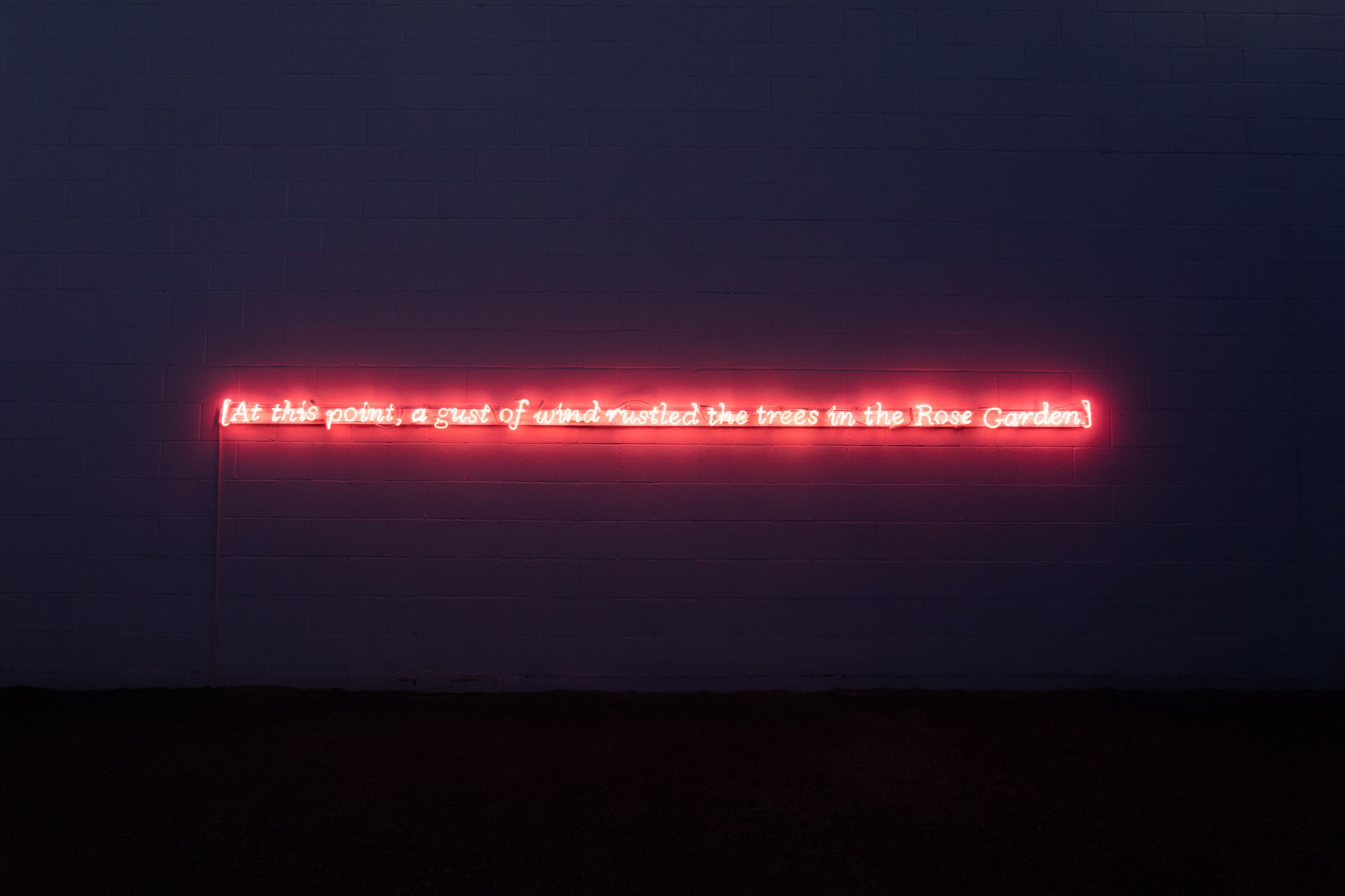Stenographer's Note: [At this point, a gust of wind rustled the trees in the Rose Garden.], 2025, neon, transformers, wire, approximately 15 feet wide