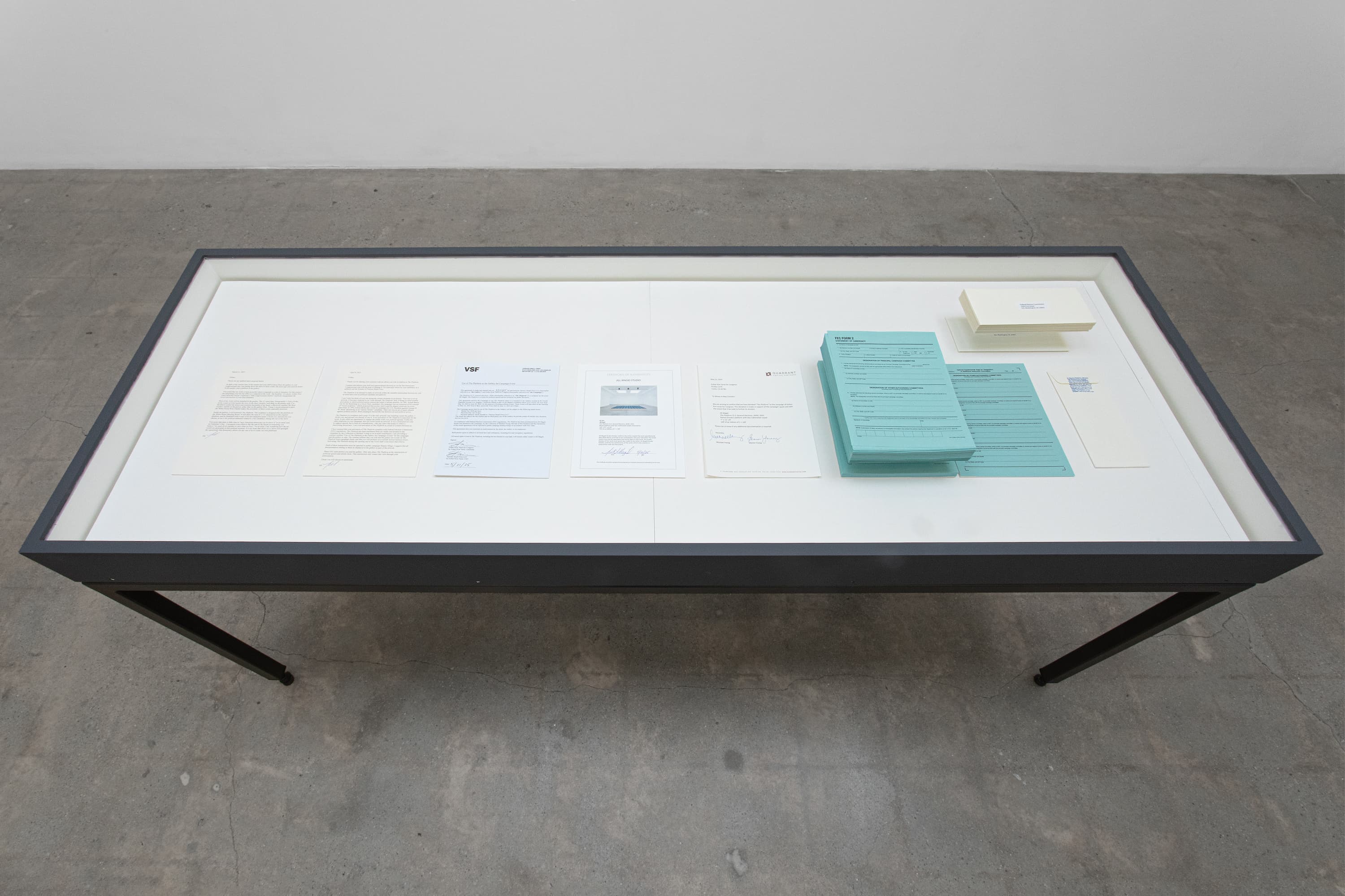 The Platform (U.S. General Elections, 2026), 2025, raised wooden platform with dye sublimated carpet, documents, 6.25” x 145” x 97”
