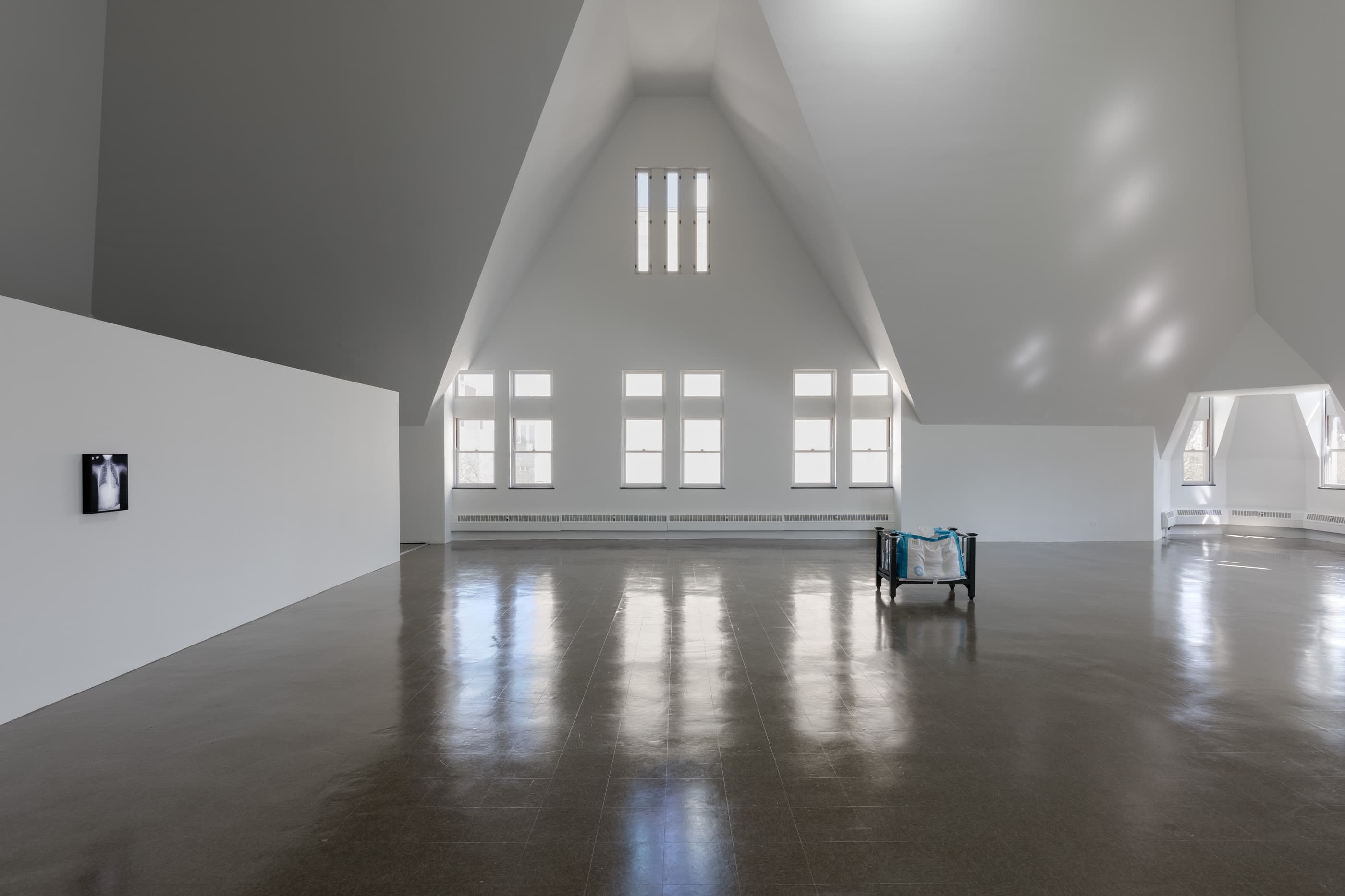 JILL MAGID, TENDER: BALANCE, INSTALLATION VIEW, THE RENAISSANCE SOCIETY, 2021. PHOTO: USEFUL ART SERVICES.