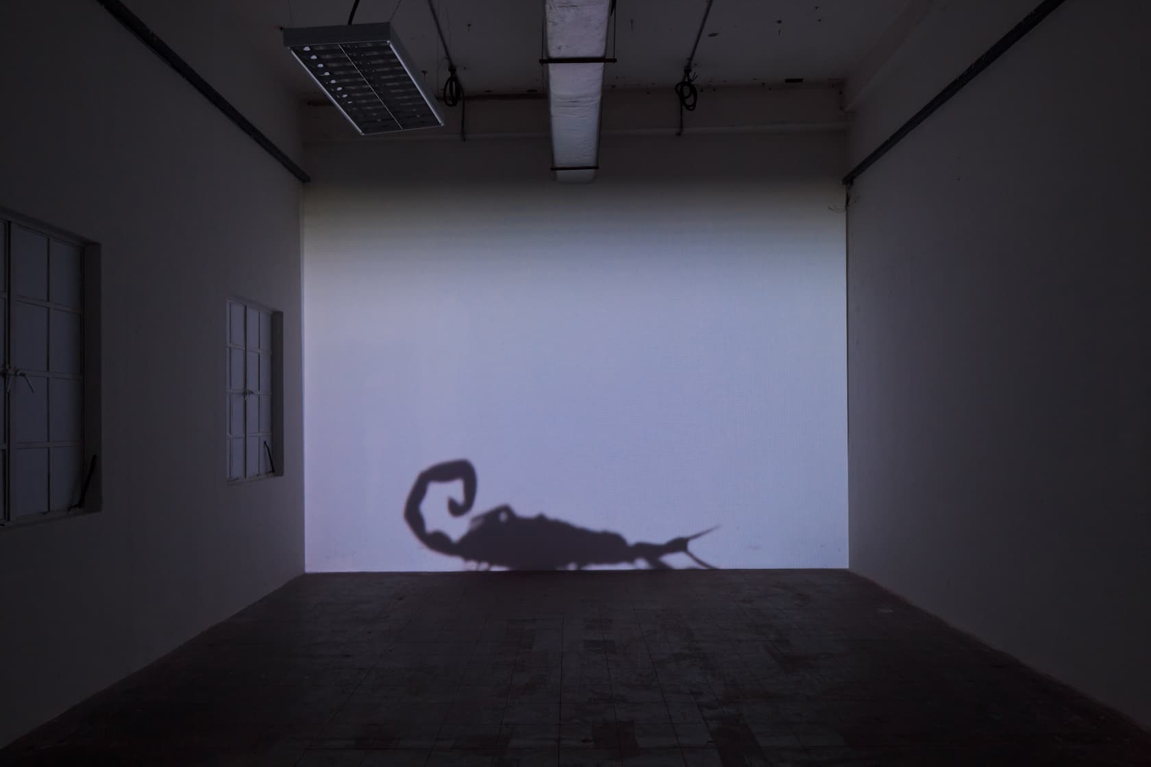 A Reasonable Man in a Box. Installation view at Singapore Biennial, 2011.