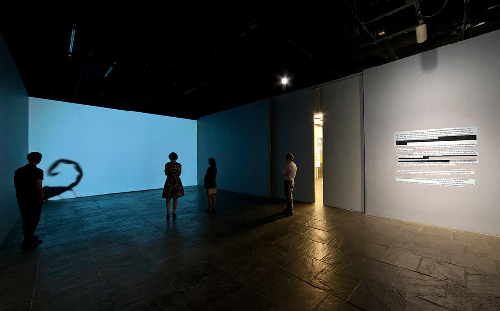 A Reasonable Man in a Box. Installation view at the Whitney Museum. 2010.