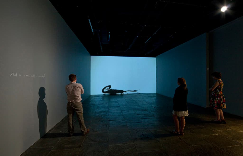 A Reasonable Man in a Box. Installation view Whitney Museum. 2010.
