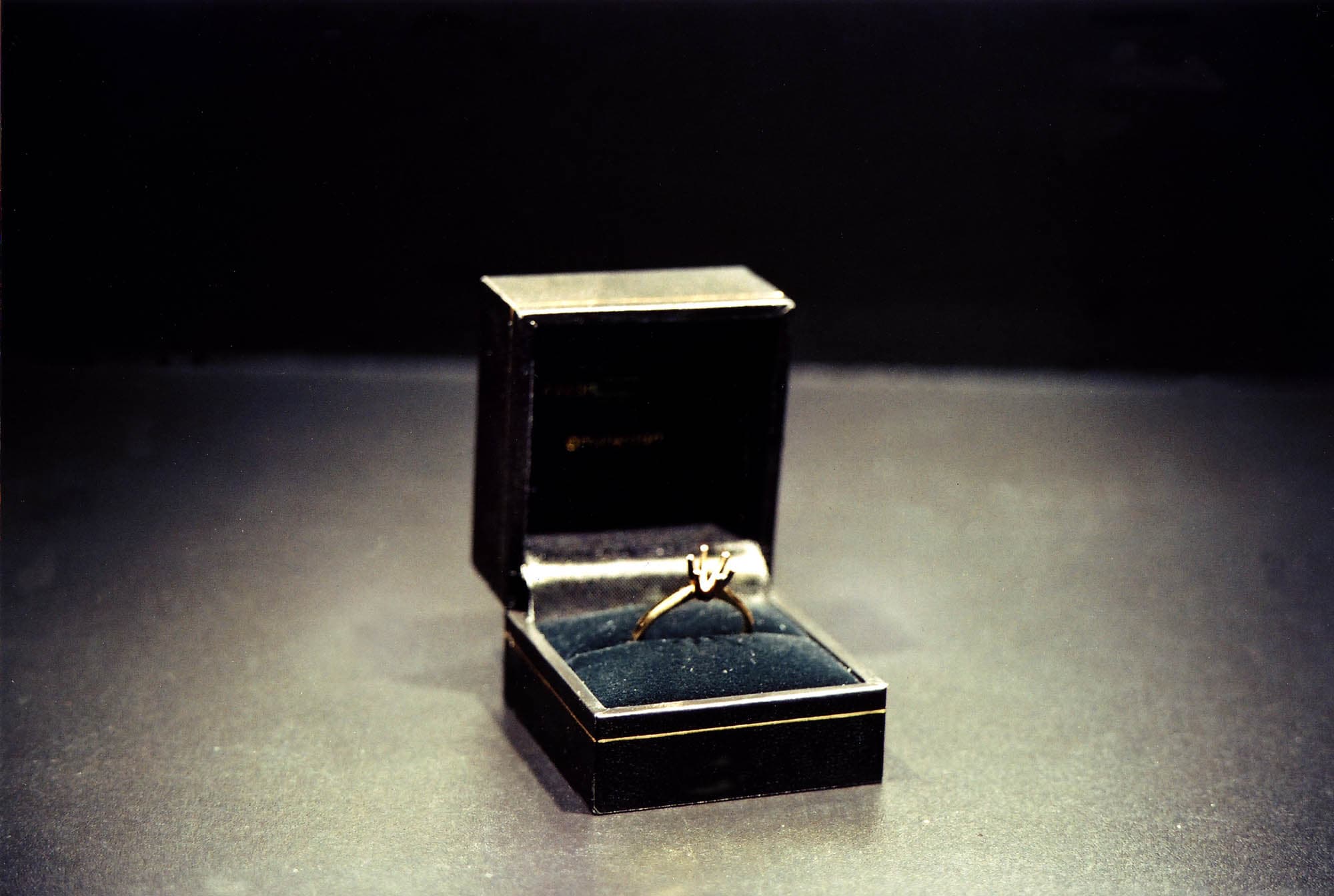Auto Portrait Pending. Ring Setting. 2005