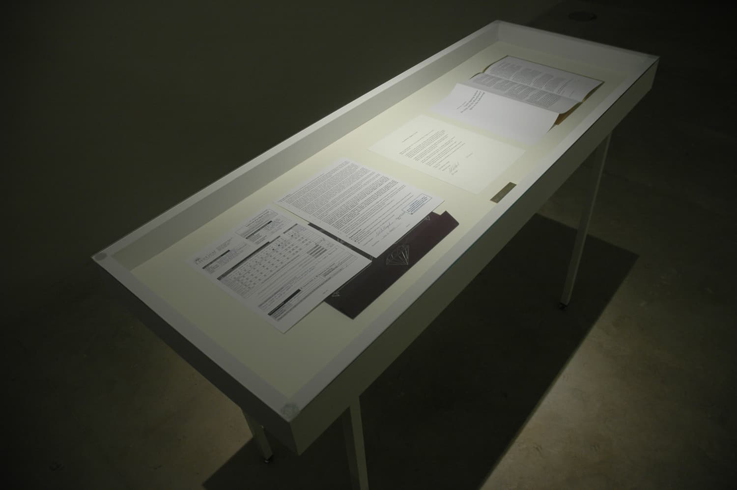 Auto Portrait Pending. The contracts. 2005