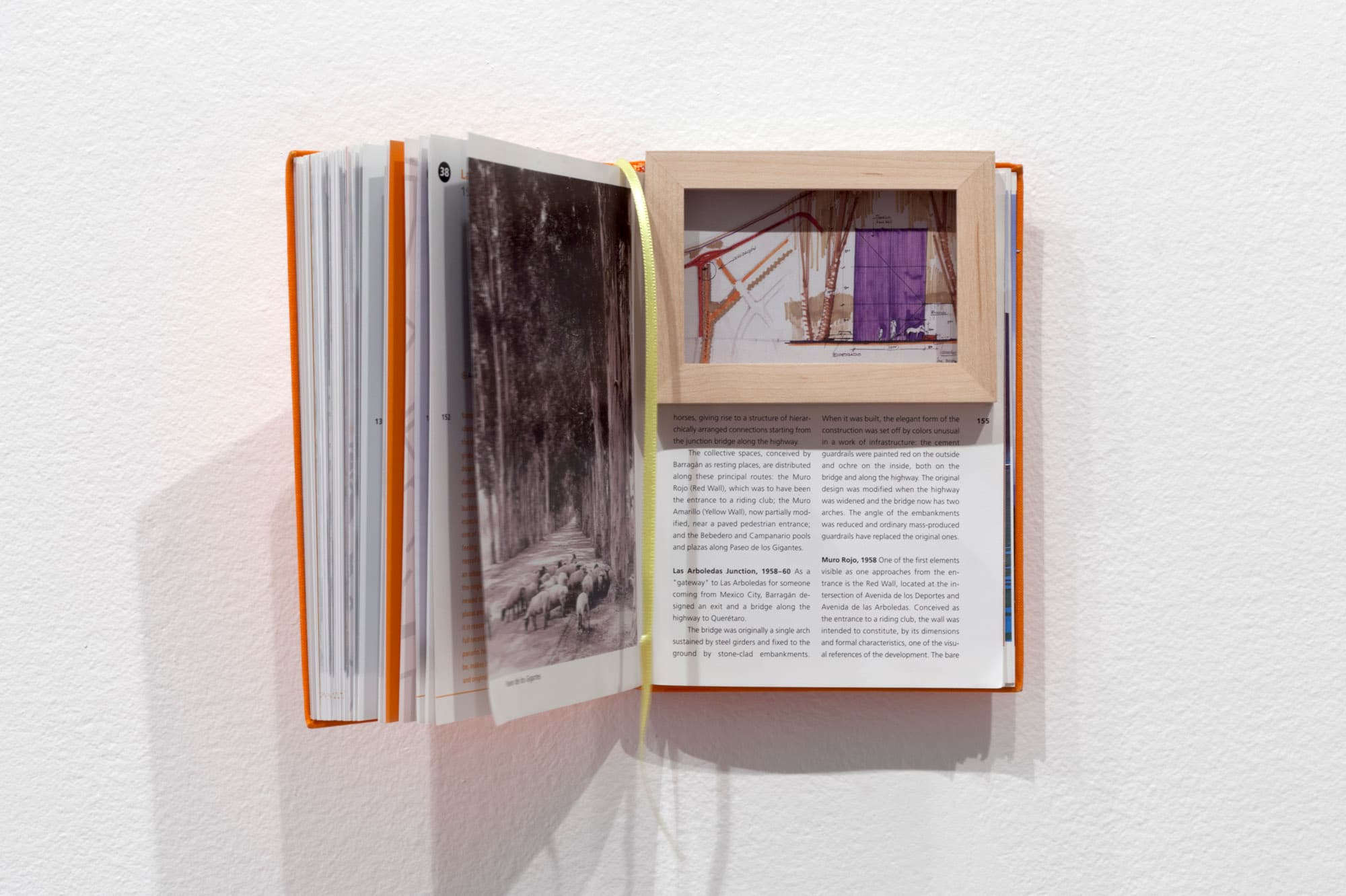 Las Arboledos Junction. book, frame, 2013
