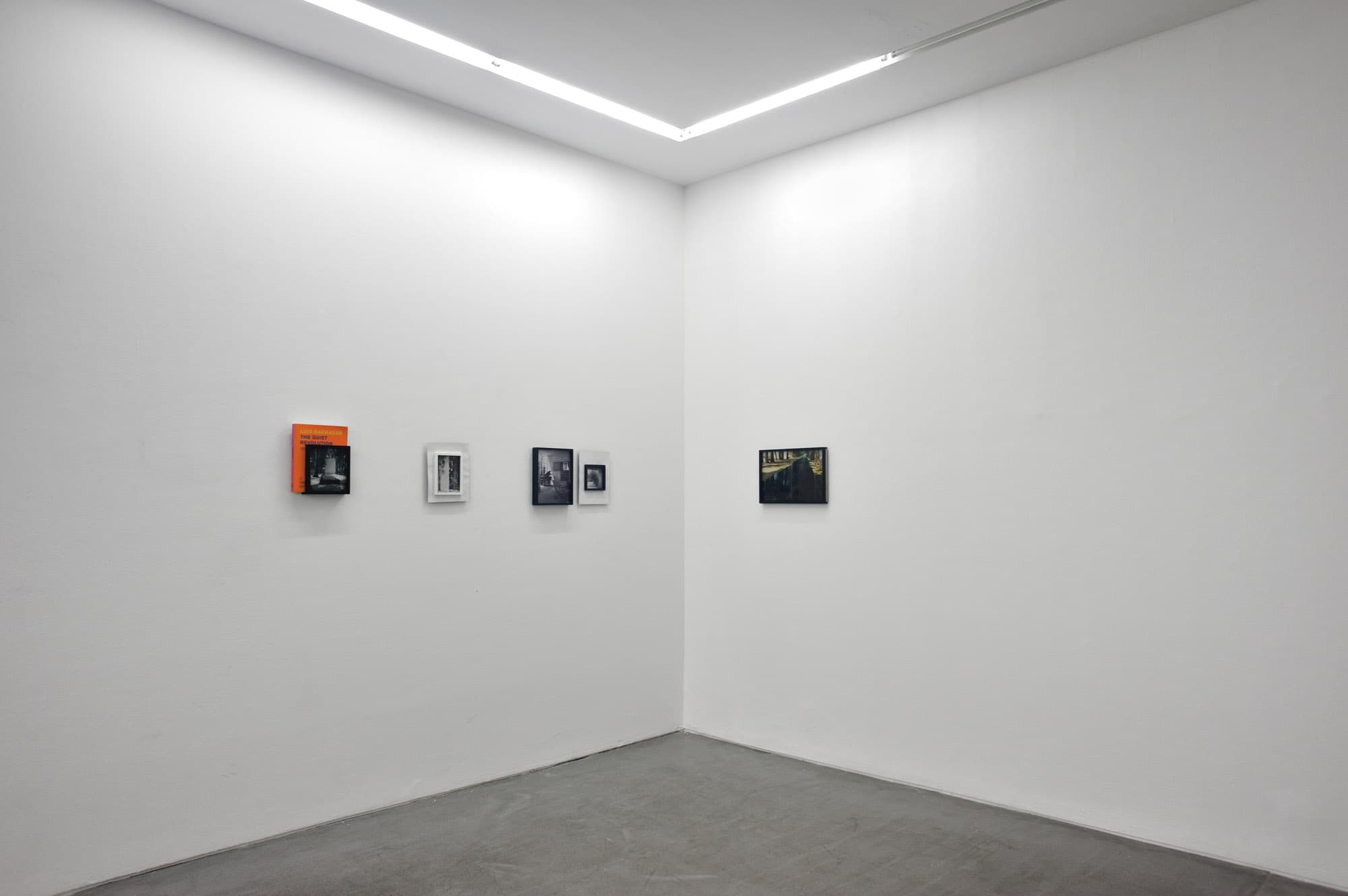 Installation View, Yvon Lambert Paris, 2014
