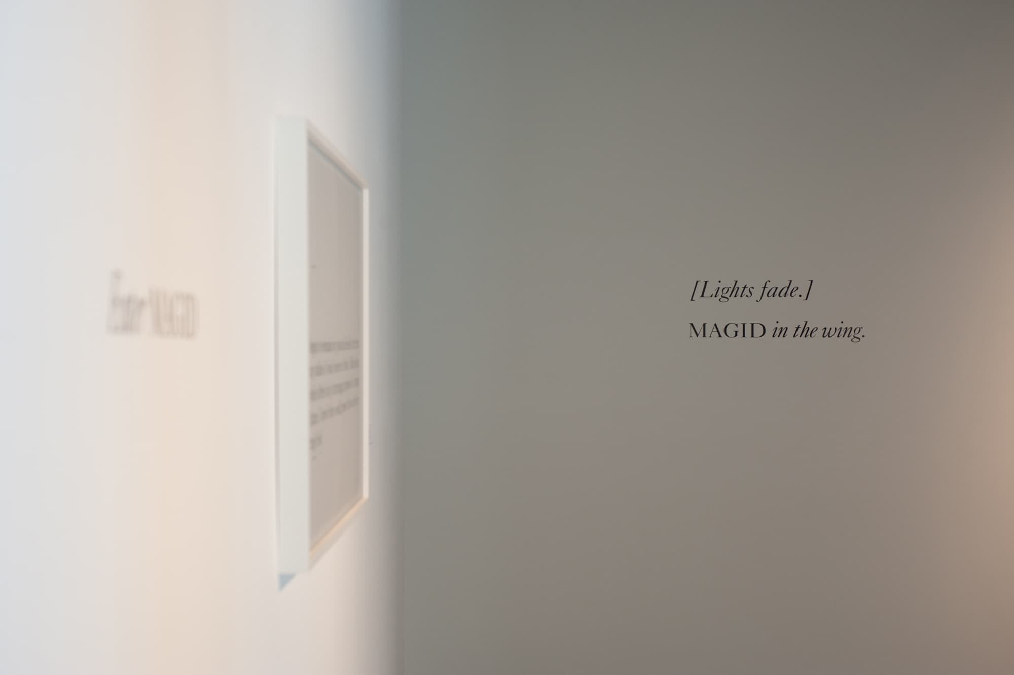 Failed States, Installation view, Arthouse, 2012