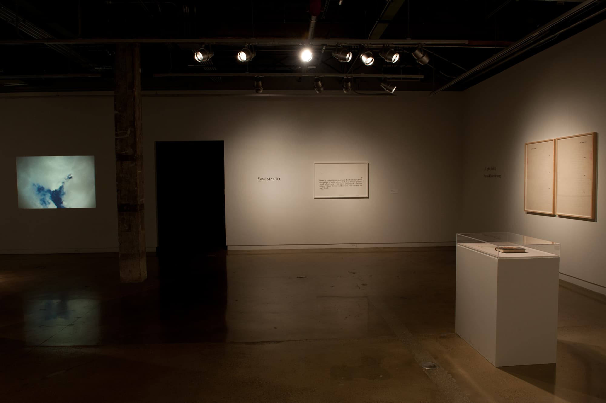 Failed States, Installation view, Arthouse, 2012