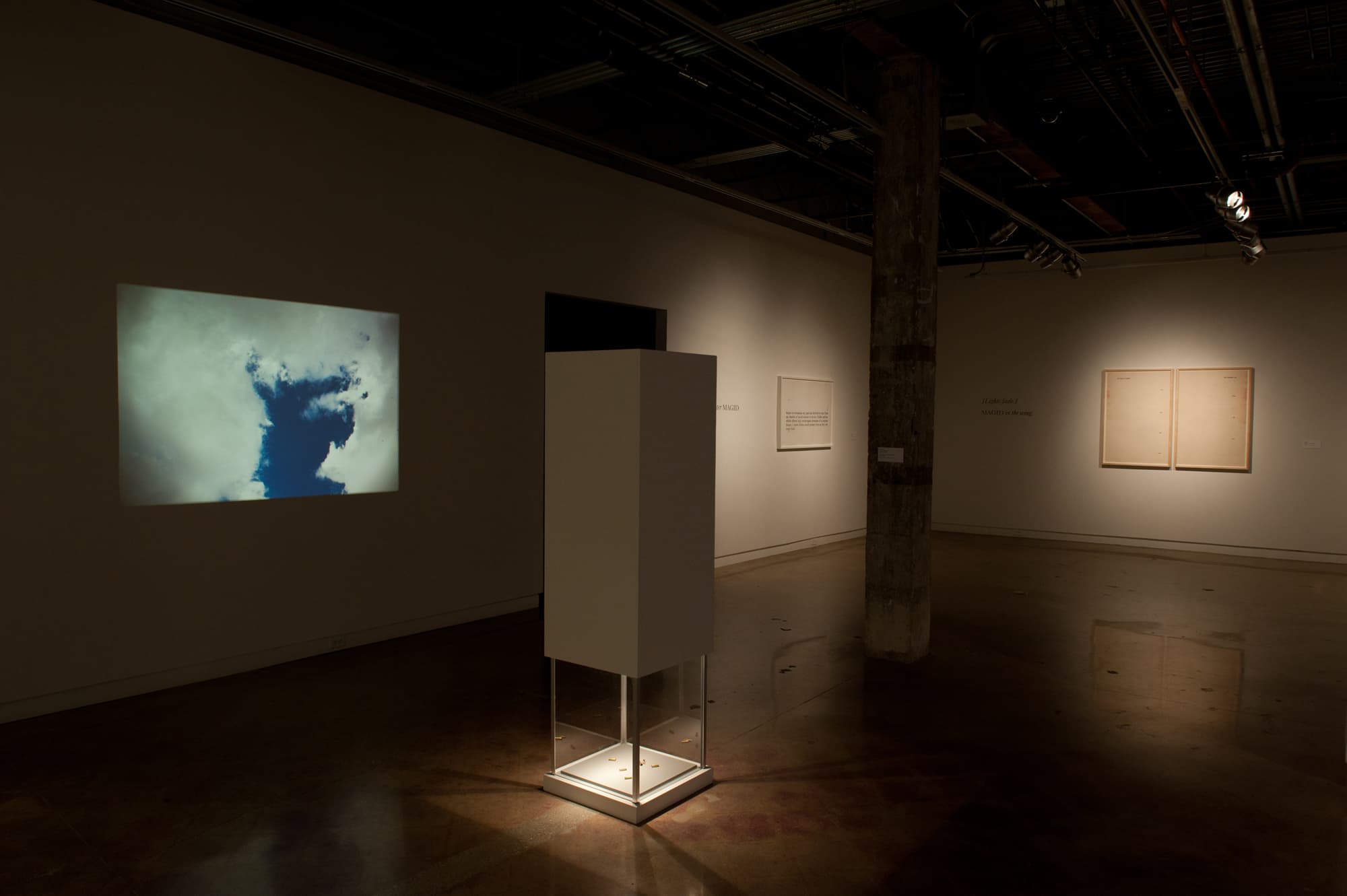 Failed States, Installation view, Arthouse, 2012