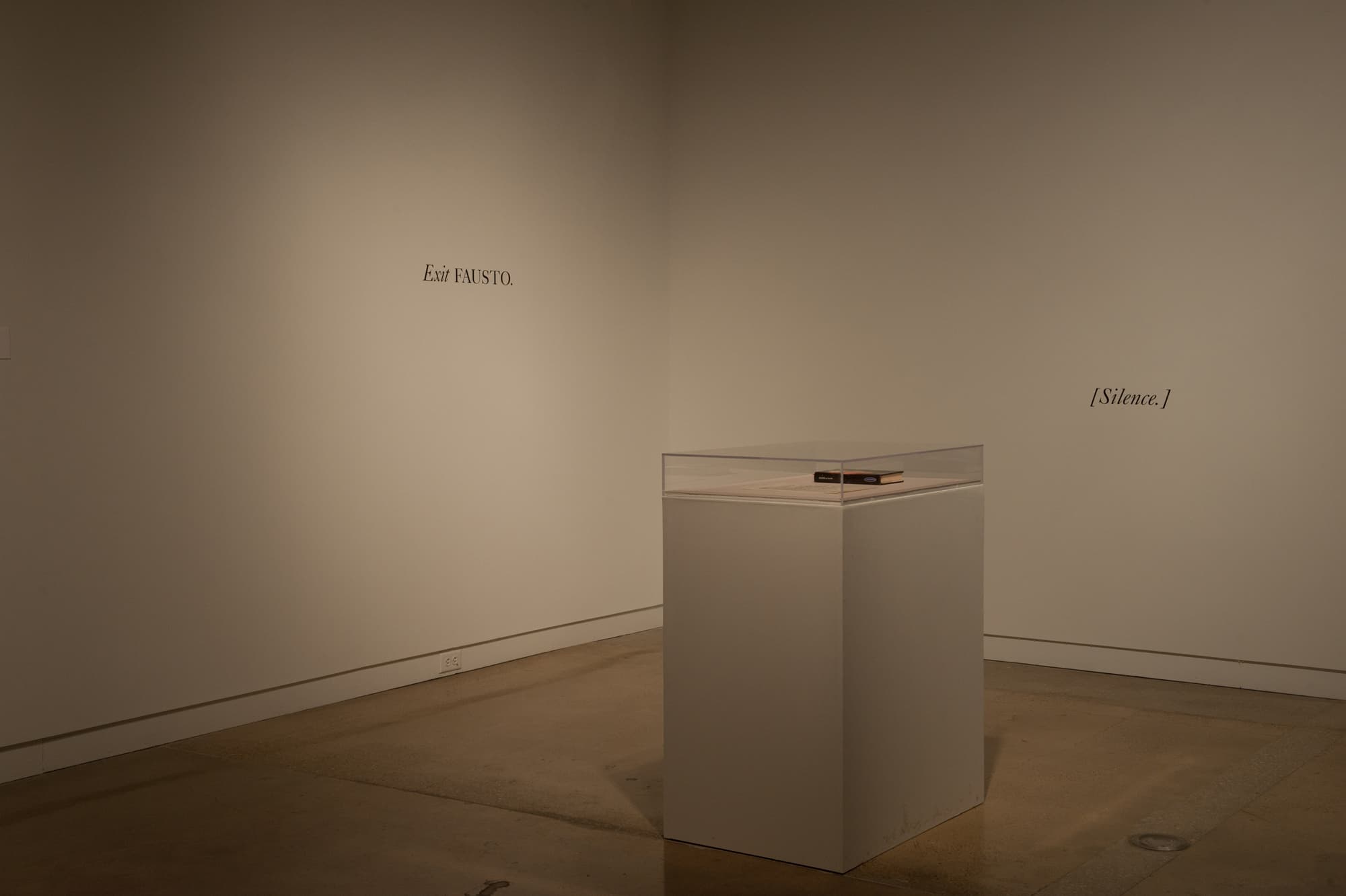 Failed States, Installation view, Arthouse, 2012