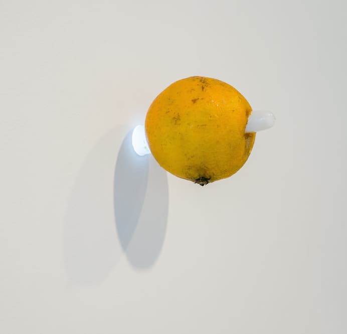Hand-to-Hand Combat Range, one-way neon, orange, transformer, 2015