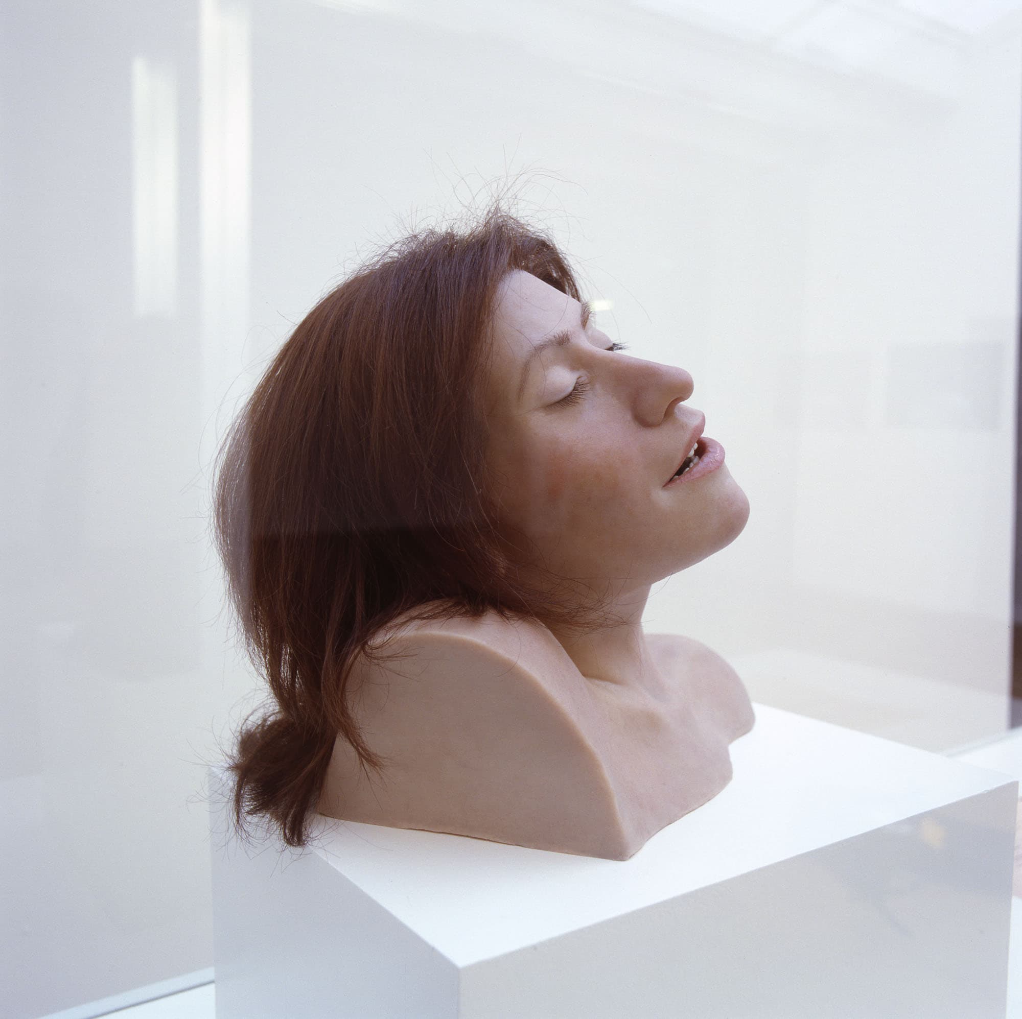 Head. (detail). Facial Reconstruction and Forensic Report. 2005
