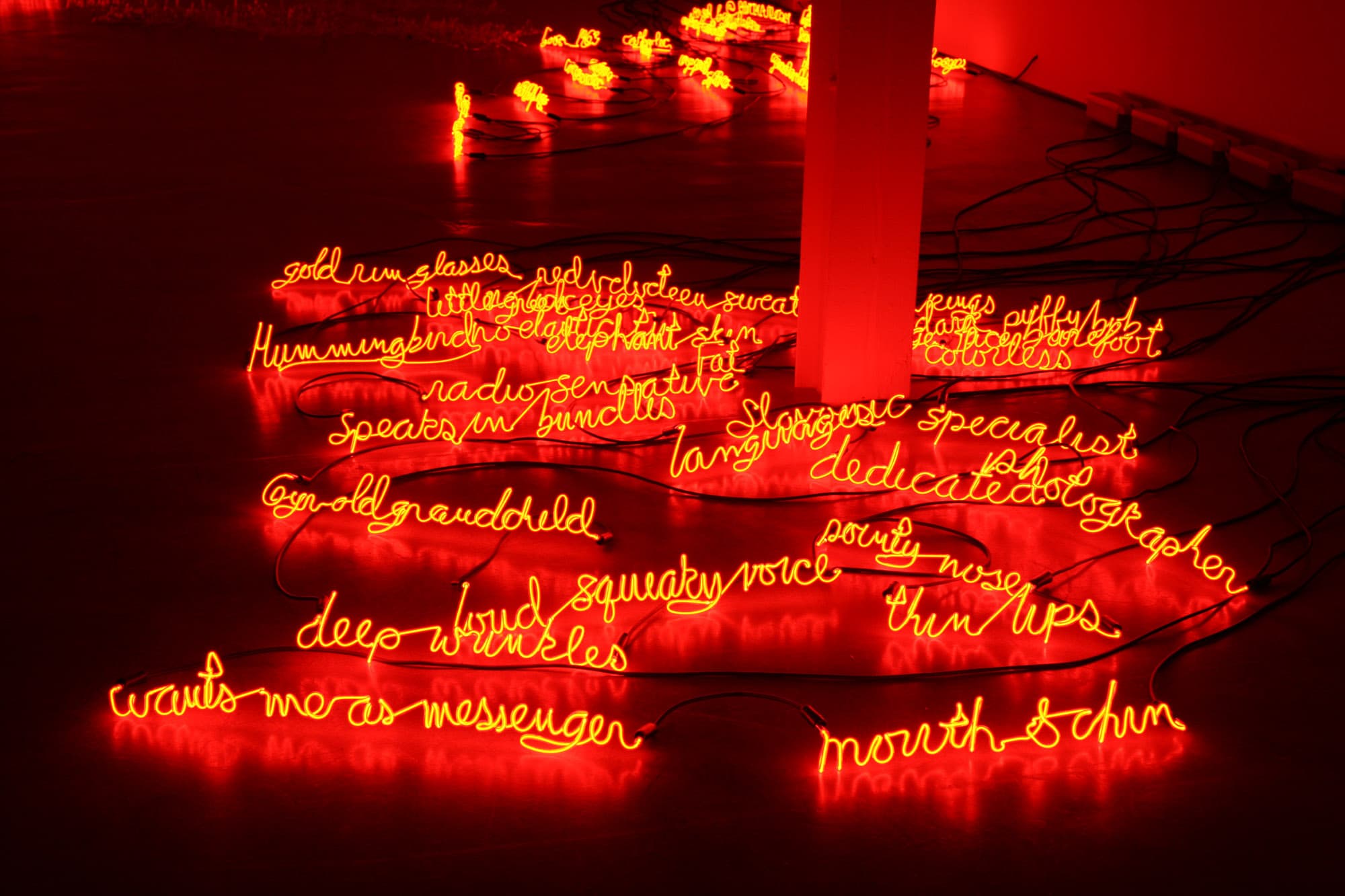I Can Burn Your Face, installation View, Yvon Lambert Paris, 2009.