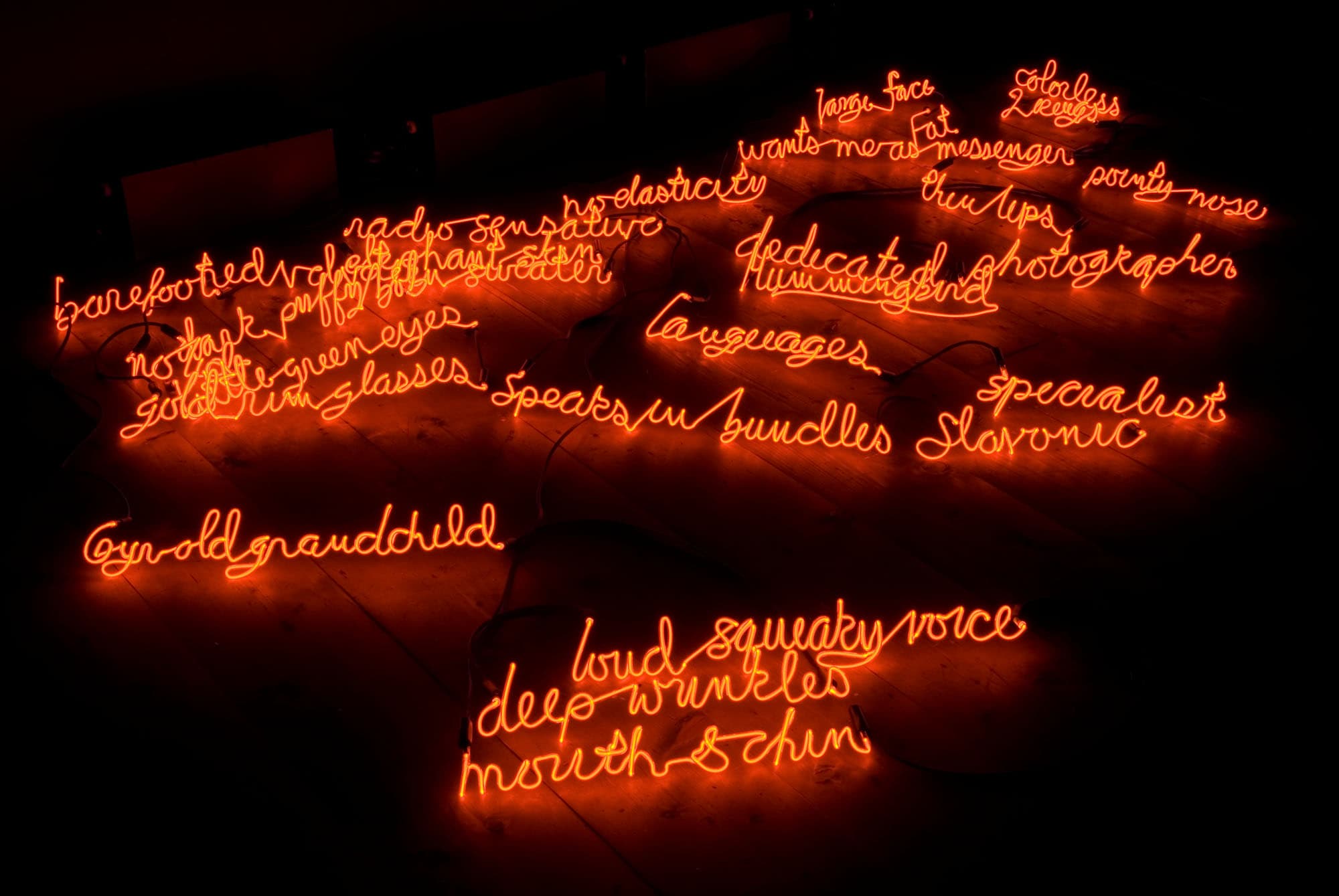 I Can Burn Your Face (detail), installation view, Stroom, 2008