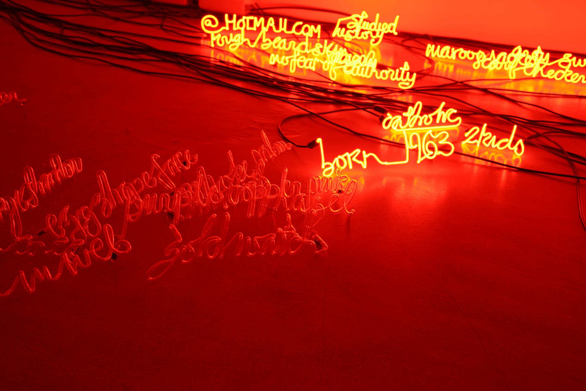 I Can Burn Your Face, Installation view, Yvon Lambert Paris, 2009.