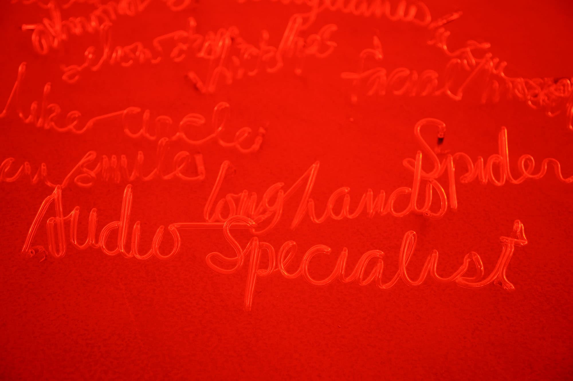 I Can Burn Your Face, Installation view, Yvon Lambert Paris, 2009.