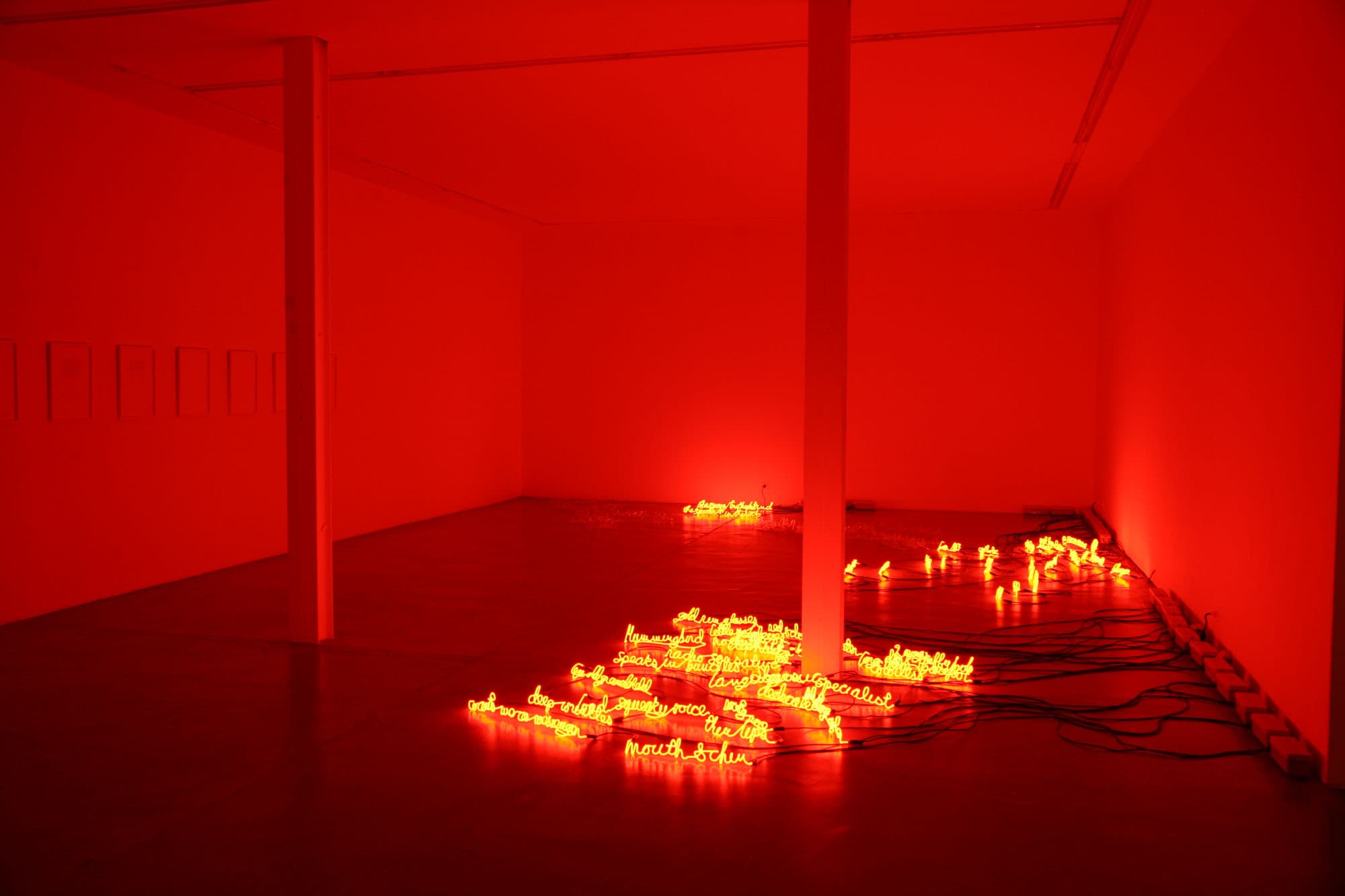 I Can Burn Your Face, Installation view, Yvon Lambert Paris, 2009.