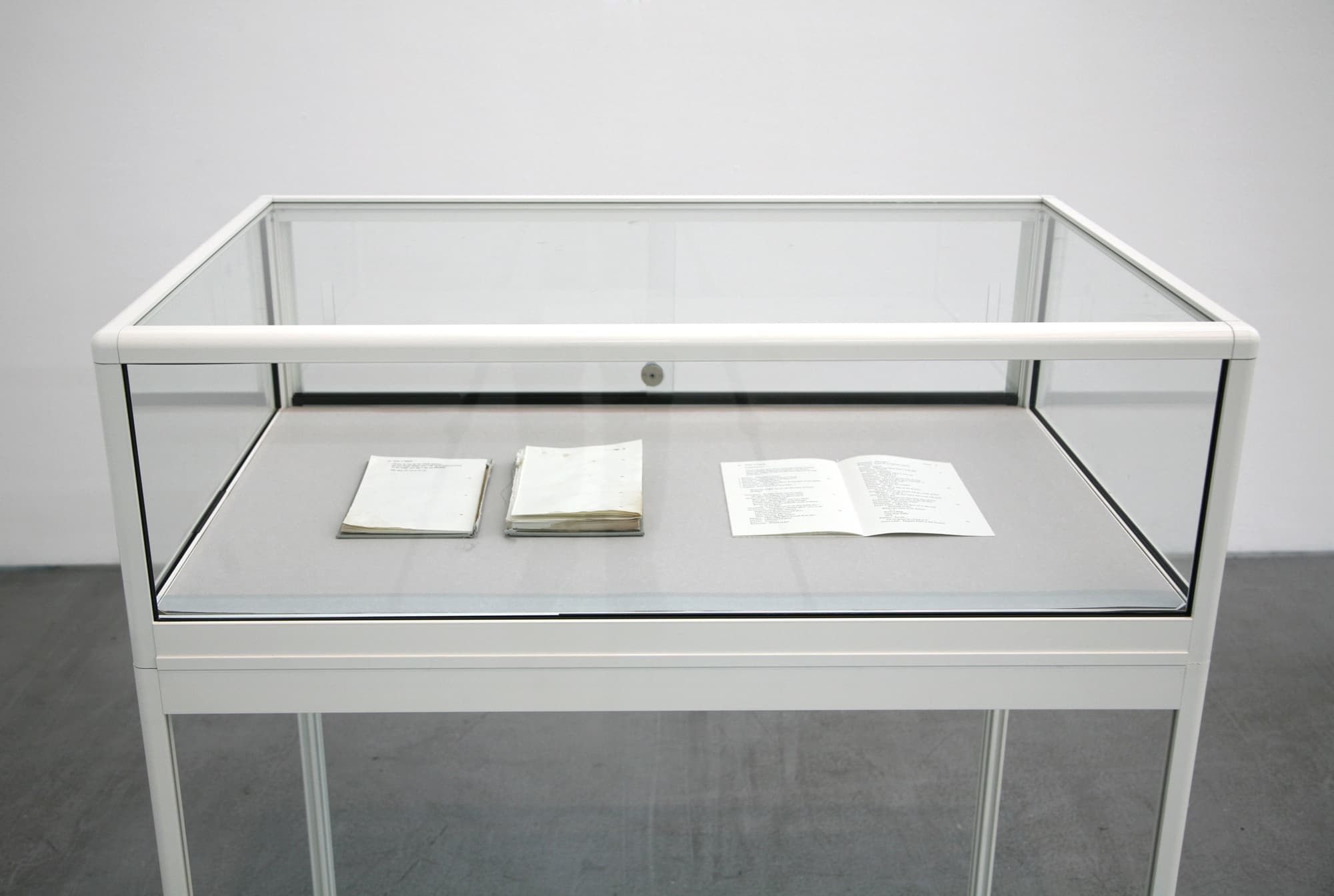 The Status of the Shooter, installation view, Yvon Lambert, 2013