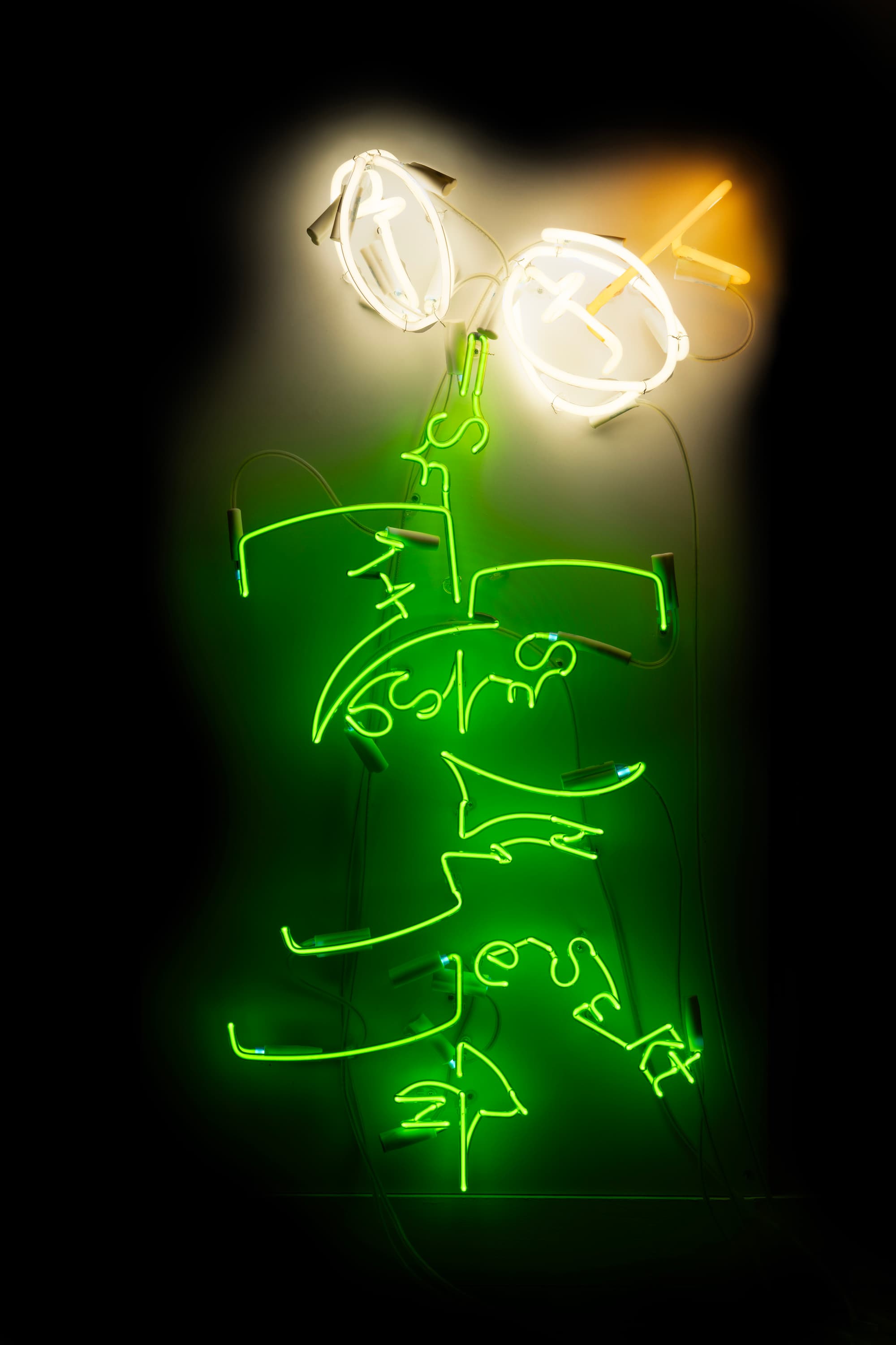 A Model for Easter Lily Stem Elongation where y is 41”, 2023, neon, transformers, wire, 41” L x 9” W x 4” D (approximate)