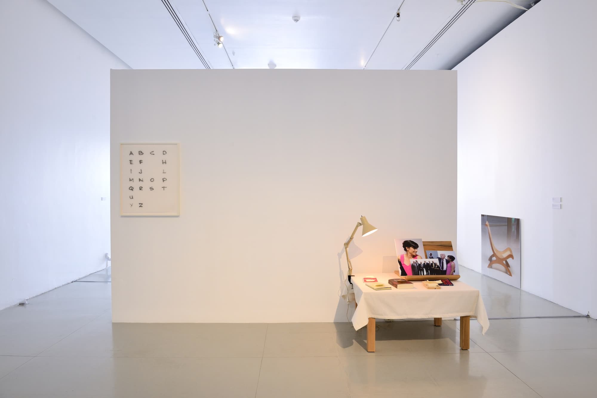 Mujer con Sombrero, installation view, Museo MAZ, 2014