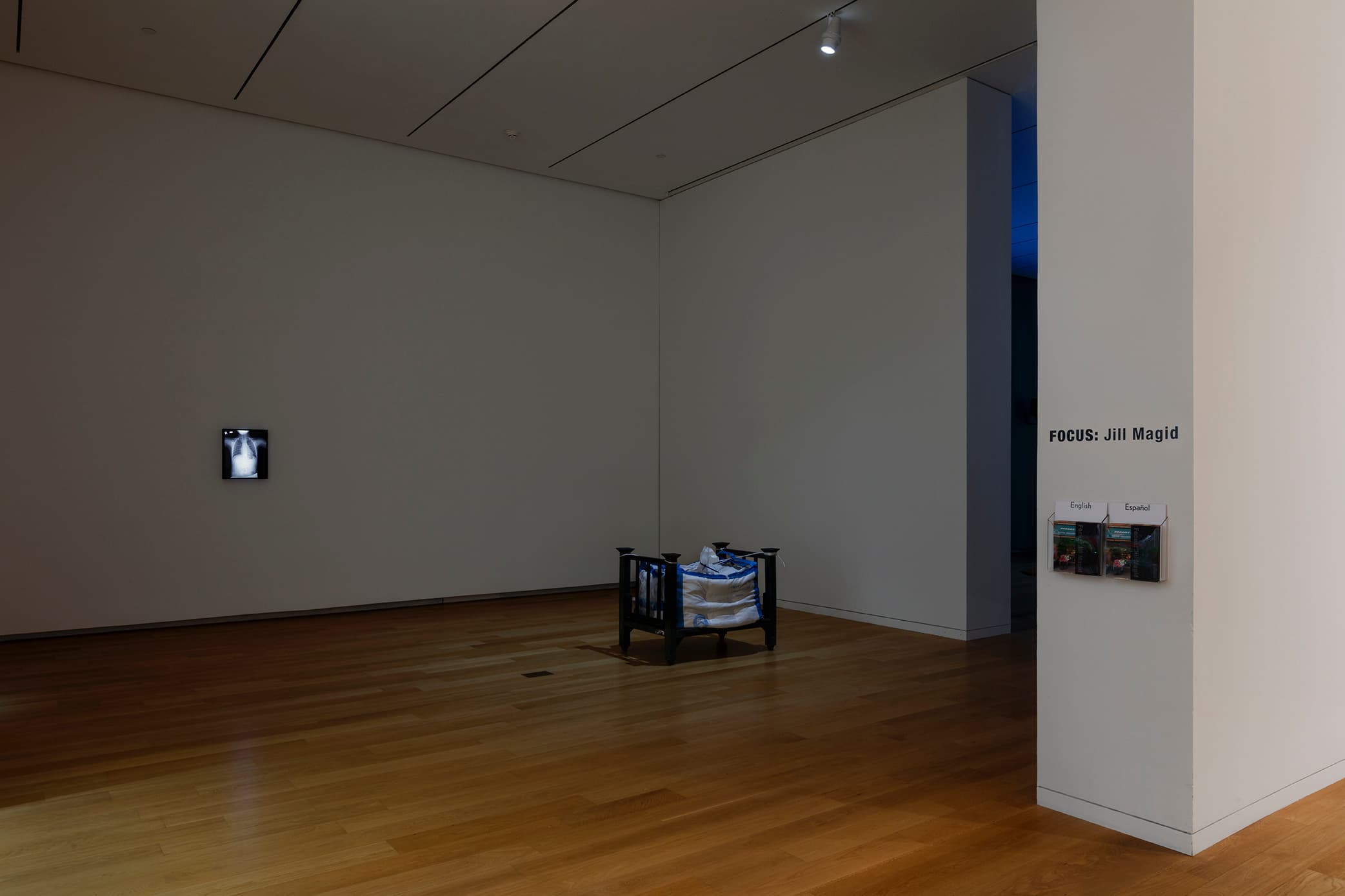 Image courtesy of the Modern Art Museum of Fort Worth. Photograph by Kevin Todora.