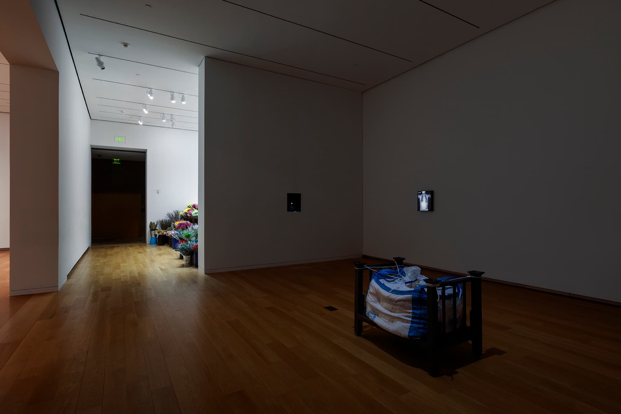 FOCUS: Jill Magid, image 4