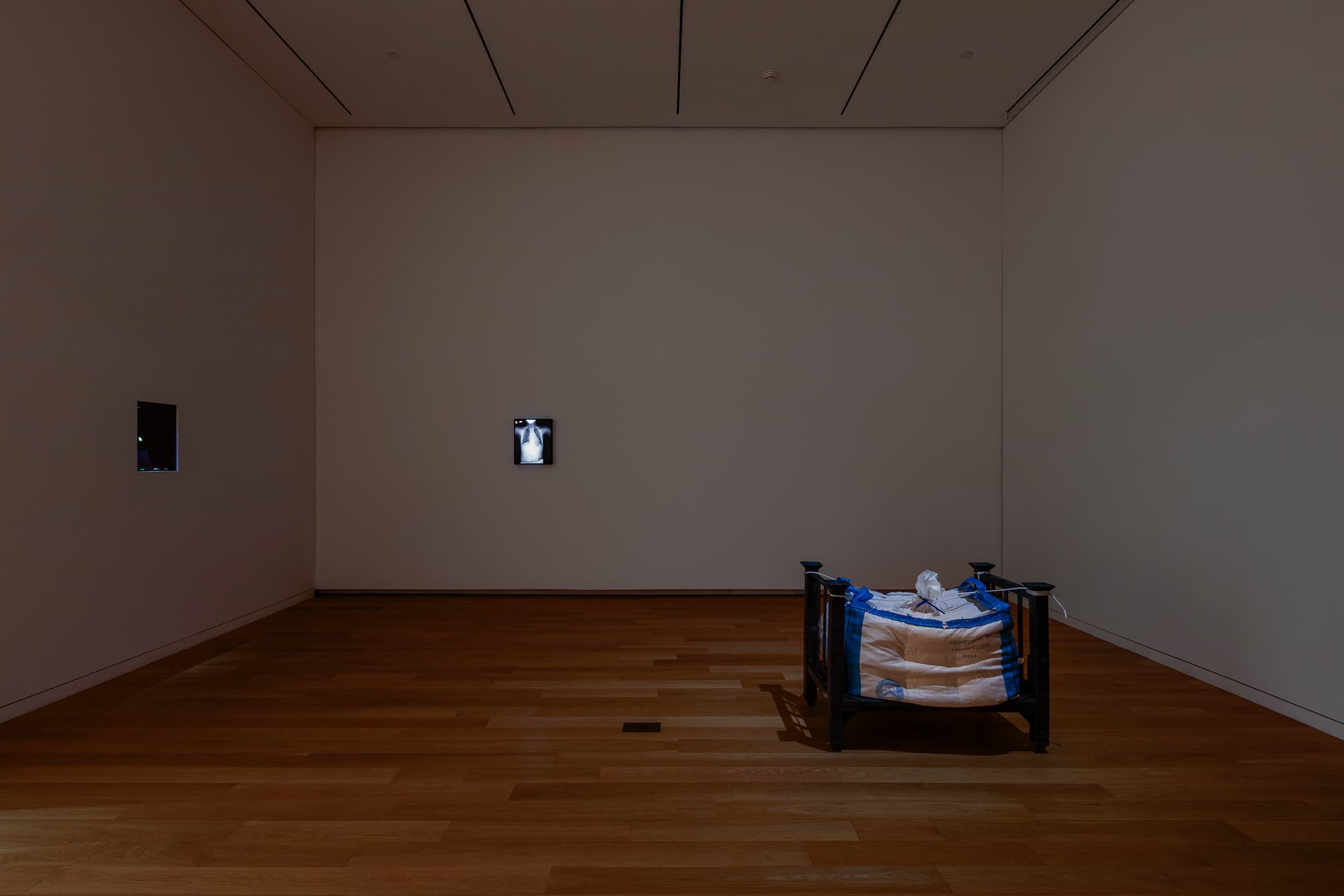 Image courtesy of the Modern Art Museum of Fort Worth. Photograph by Kevin Todora.