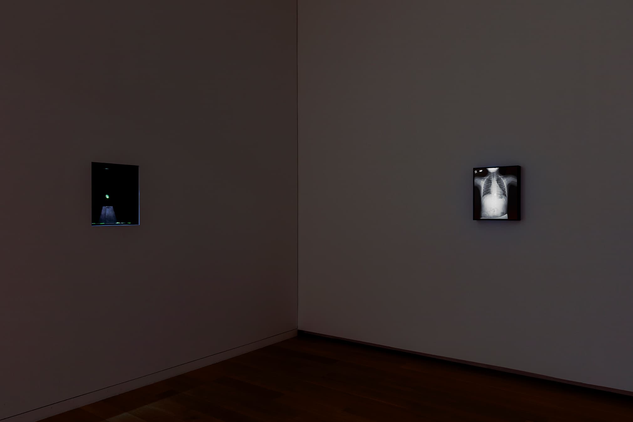 Image courtesy of the Modern Art Museum of Fort Worth. Photograph by Kevin Todora.
