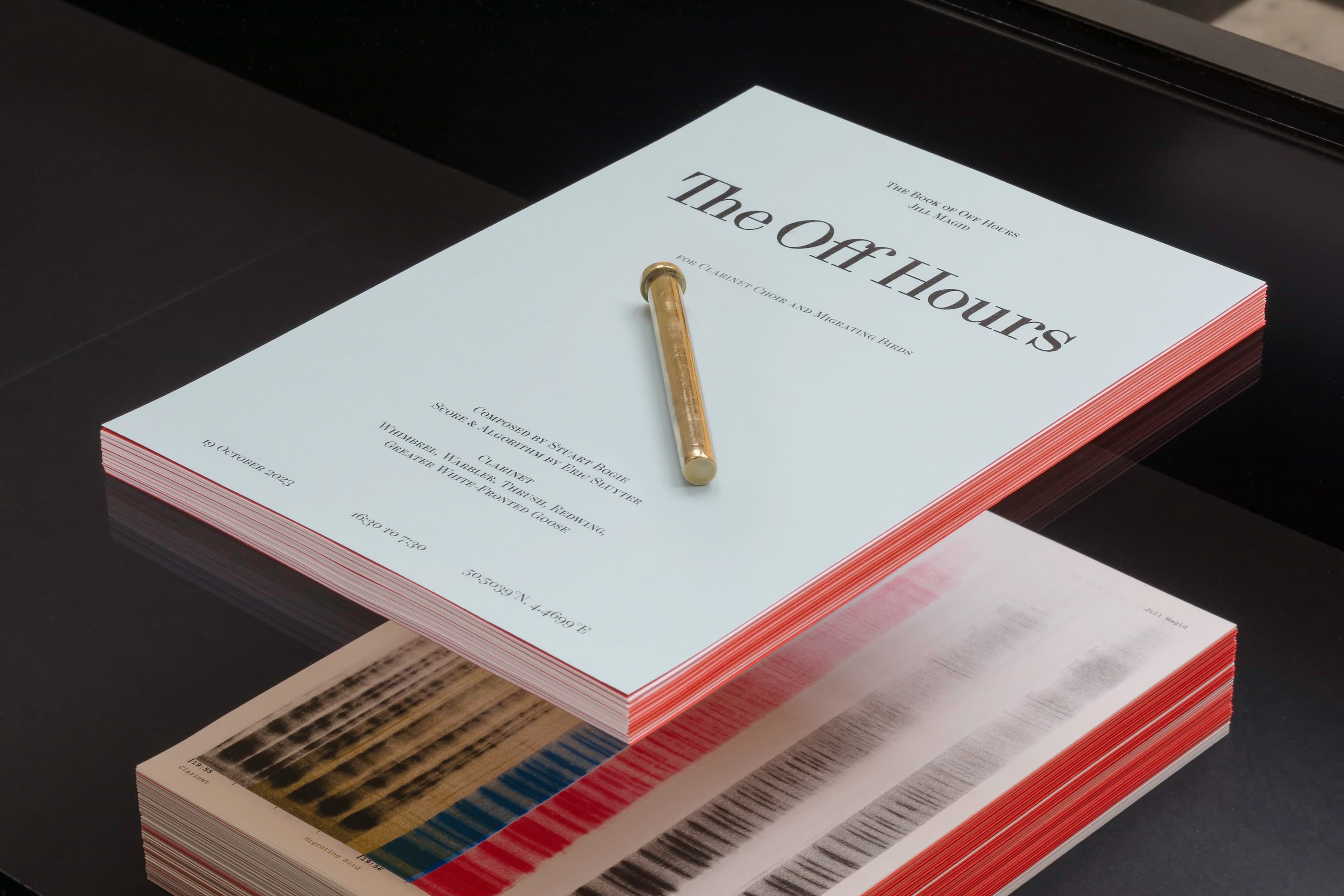 The Book of Off Hours, 2023, 4 color risoprint on paper, 362 pages, brass hinge pin, A4 @ 362 unique pages