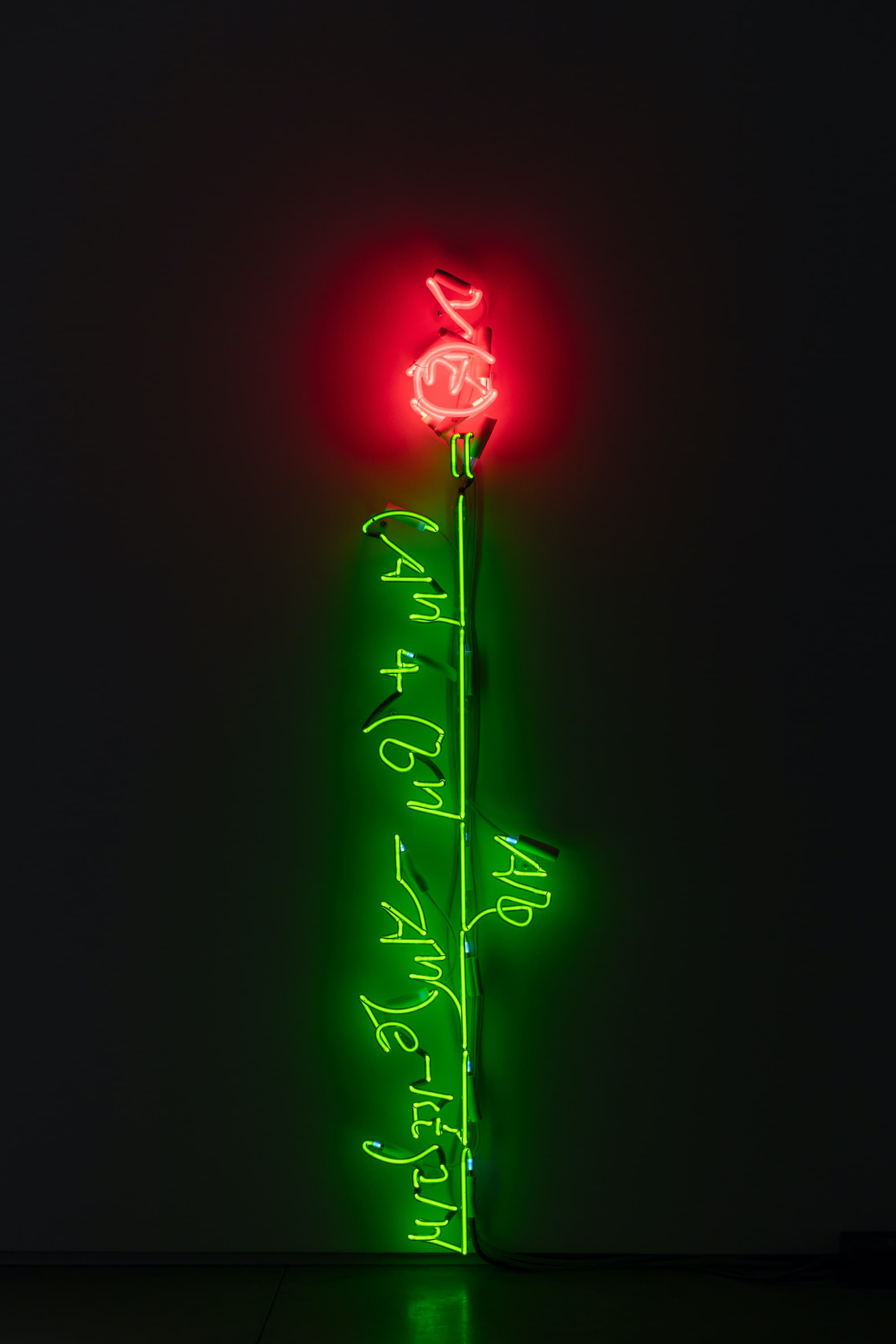 A Model for Cut Rose Stem Elongation where y is 48", 2023, neon, transformers, wire, 48” L x 9” W x 4” D