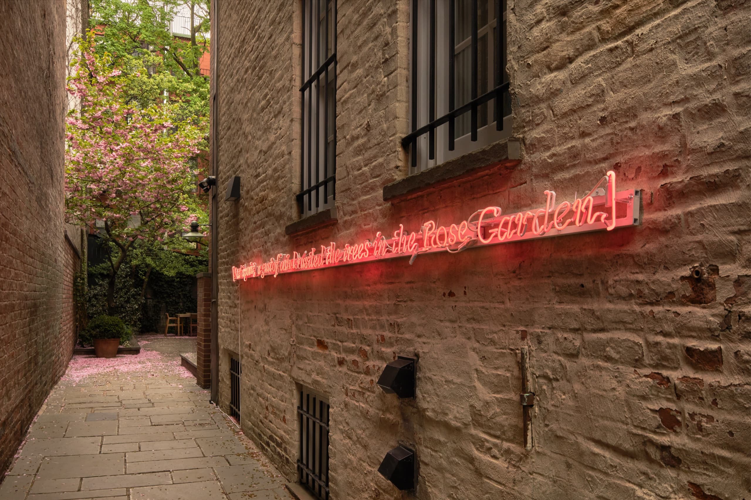 Stenographer's Note: [At this point, a gust of wind rustled the trees in the Rose Garden.], 2025. Neon, transformers, wire. Installation view, Pooler Room, 2026. Mister Fahrenheit, New York. Photography: Brad Farwell. Image courtesy the artist and Mister Fahrenheit.