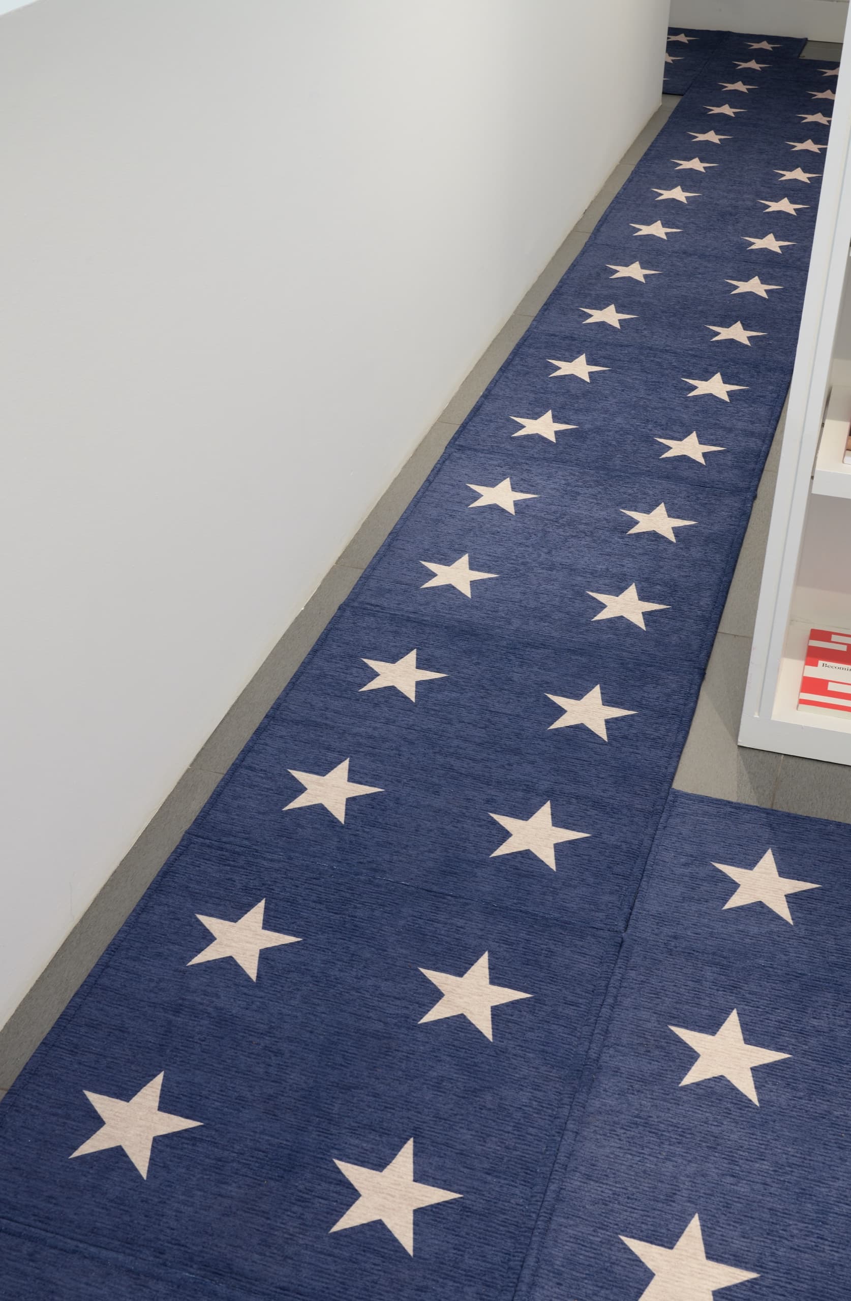The Platform (White House Press Briefing Room), 2026. Dye sublimated carpet tiles. Installation view, Pooler Room, 2026. Mister Fahrenheit, New York. Photography: Brad Farwell. Image courtesy the artist and Mister Fahrenheit.