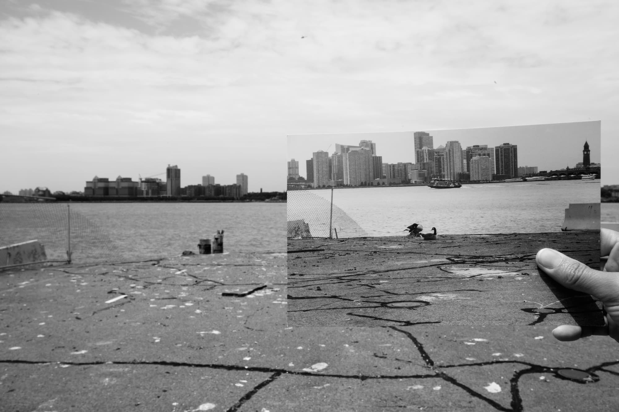 Postcards from the Pier (Detail: Douglas Huebler, 2), digital photograph, 2014