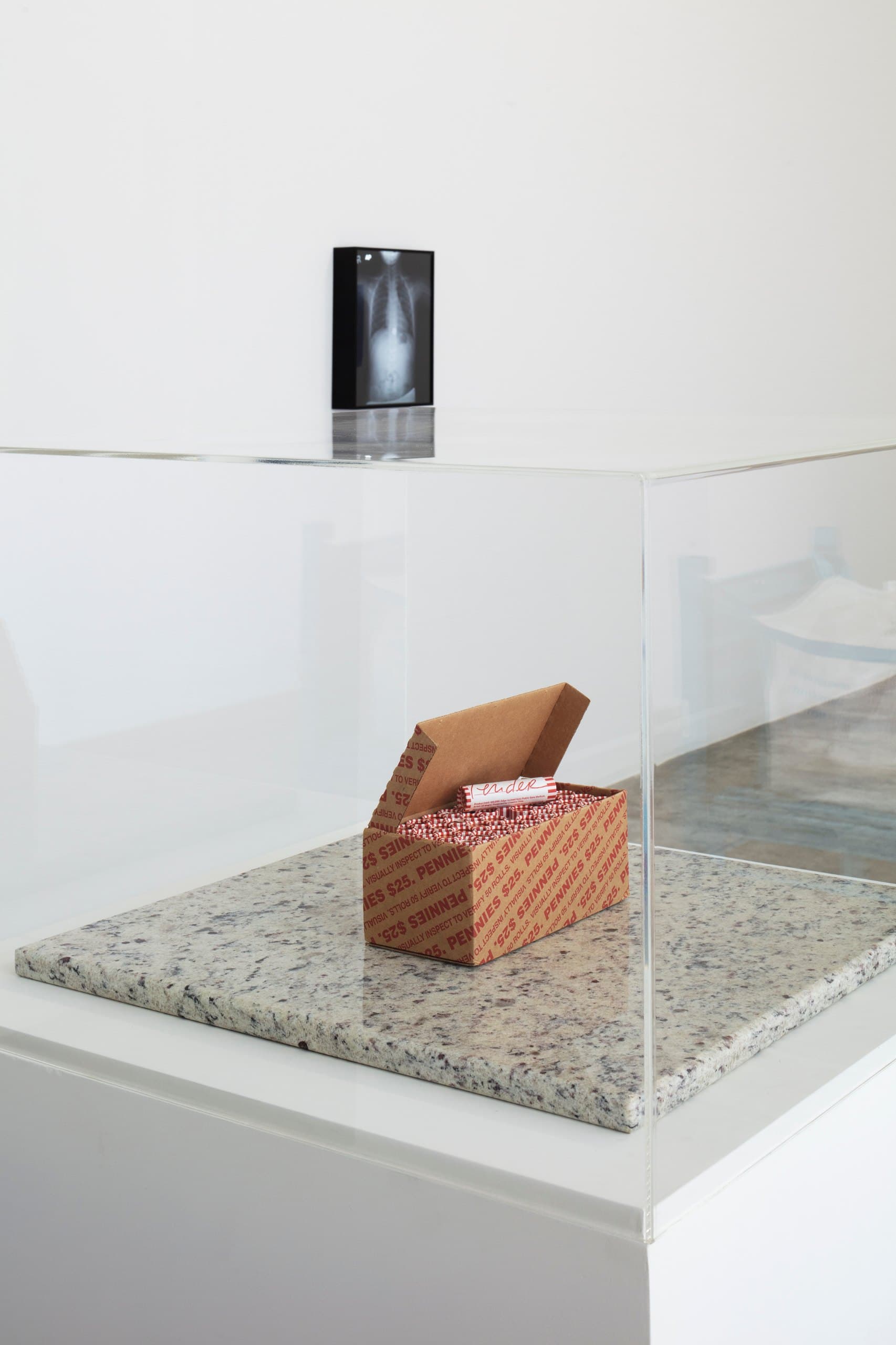 Jill Magid, Tender Box, 2020. Cardboard, 50 Tender Penny rolls. Photography: Ramiro Chaves. Image courtesy the artist and LABOR, Mexico City.