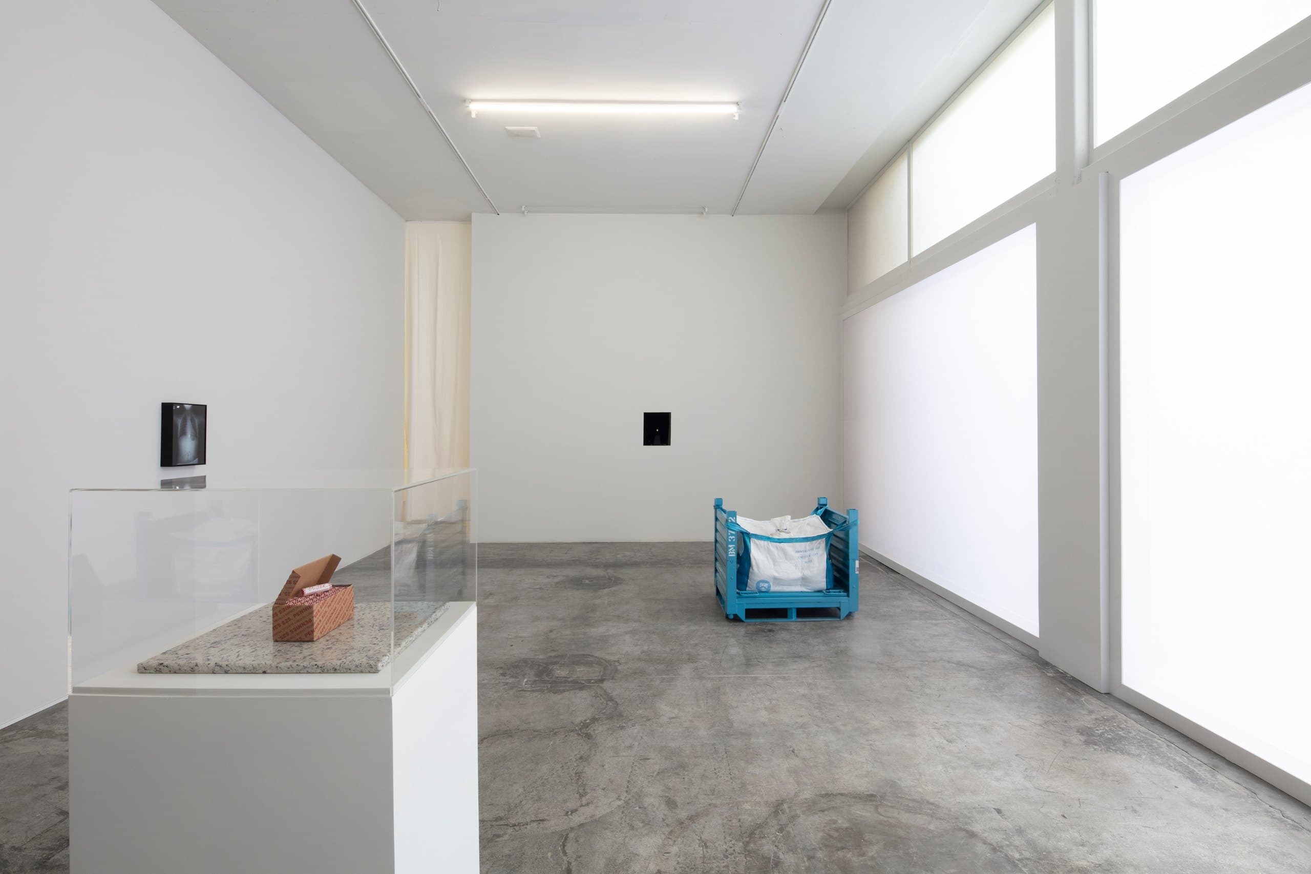 Installation view, Tender, LABOR, Mexico City. Photography: Ramiro Chaves. Image courtesy the artist and LABOR, Mexico City
