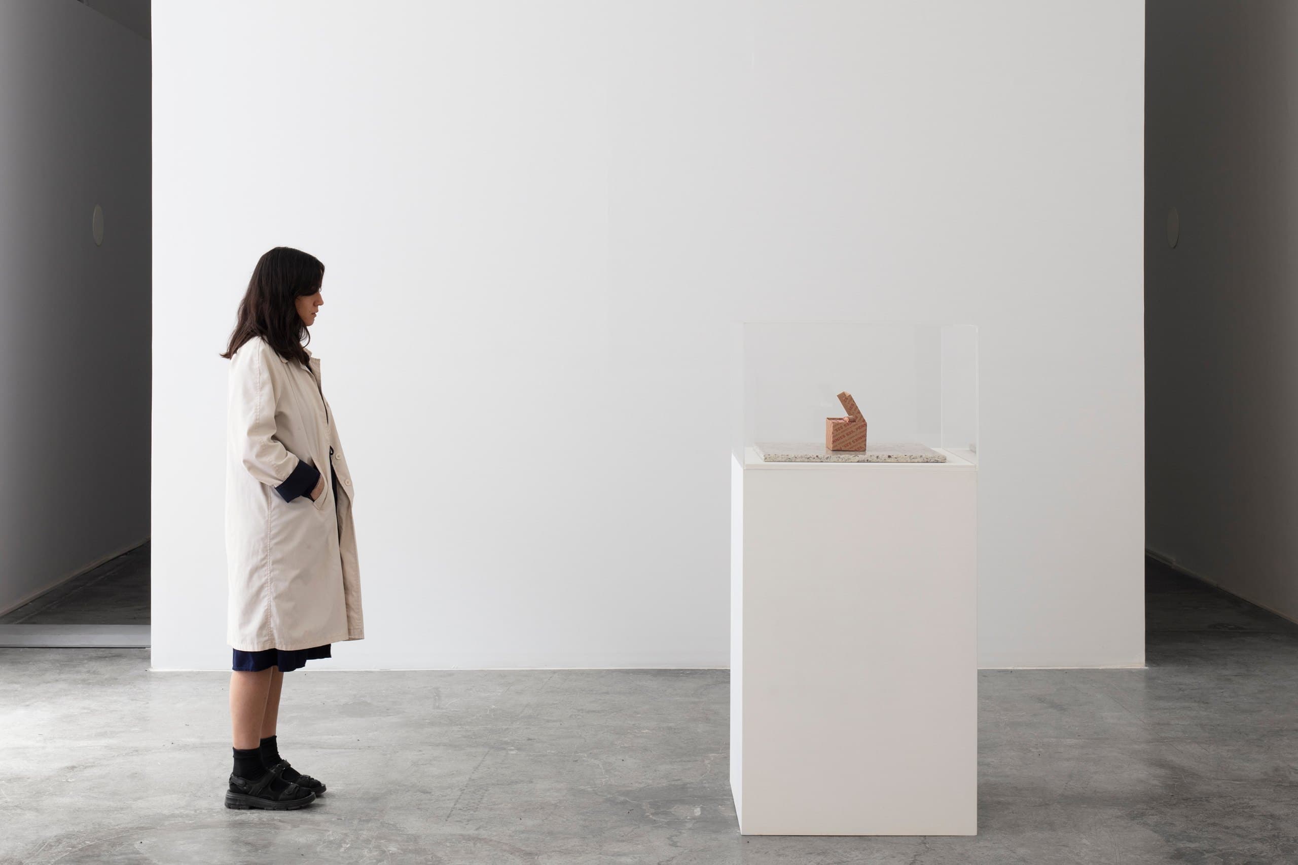 Installation view, Tender, LABOR, Mexico City. Photography: Ramiro Chaves. Image courtesy the artist and LABOR, Mexico City