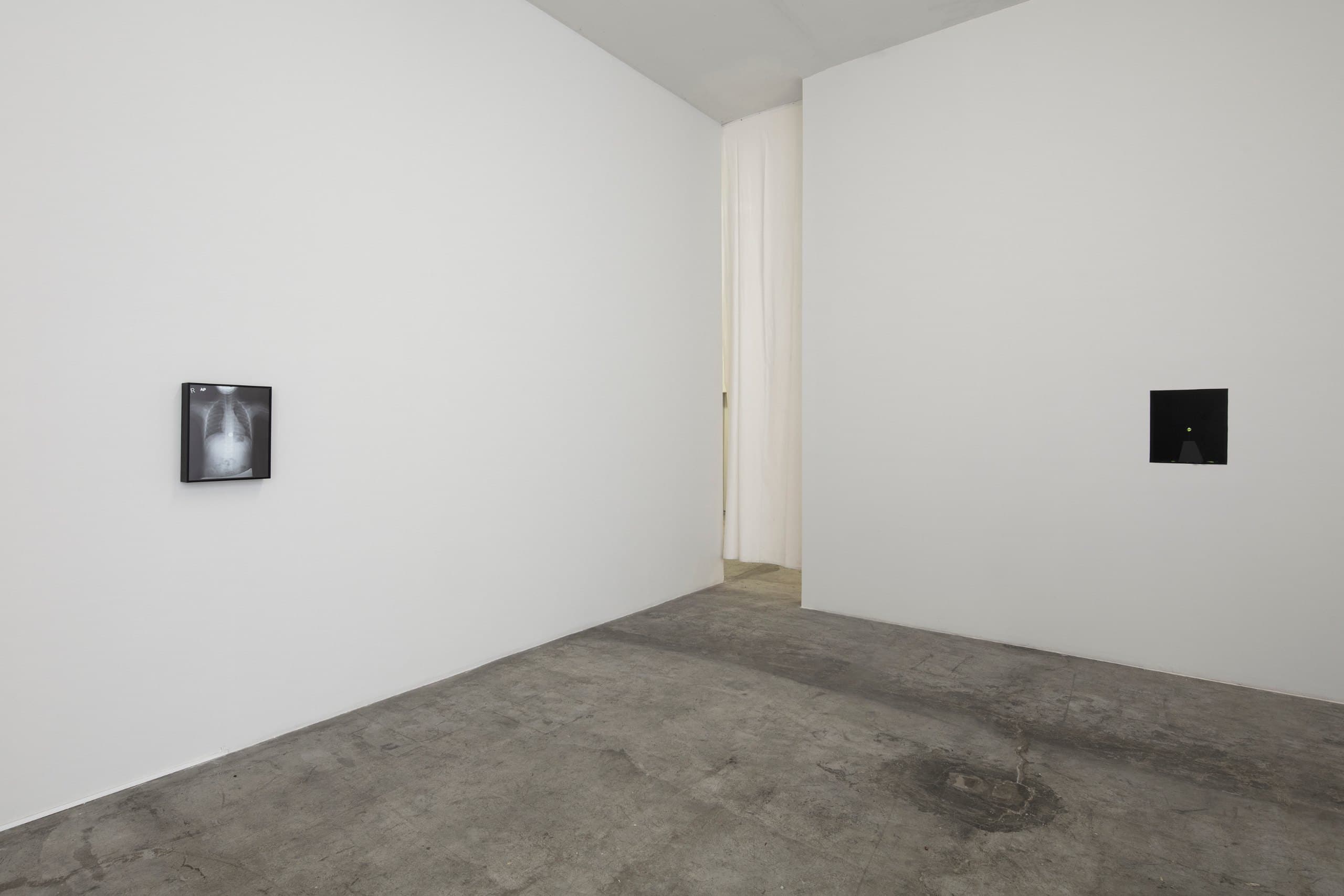 Installation view, Tender, LABOR, Mexico City. Photography: Ramiro Chaves. Image courtesy the artist and LABOR, Mexico City