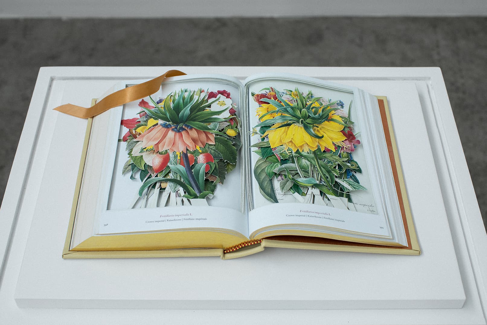 Jill Magid, Crown Imperial, 2022