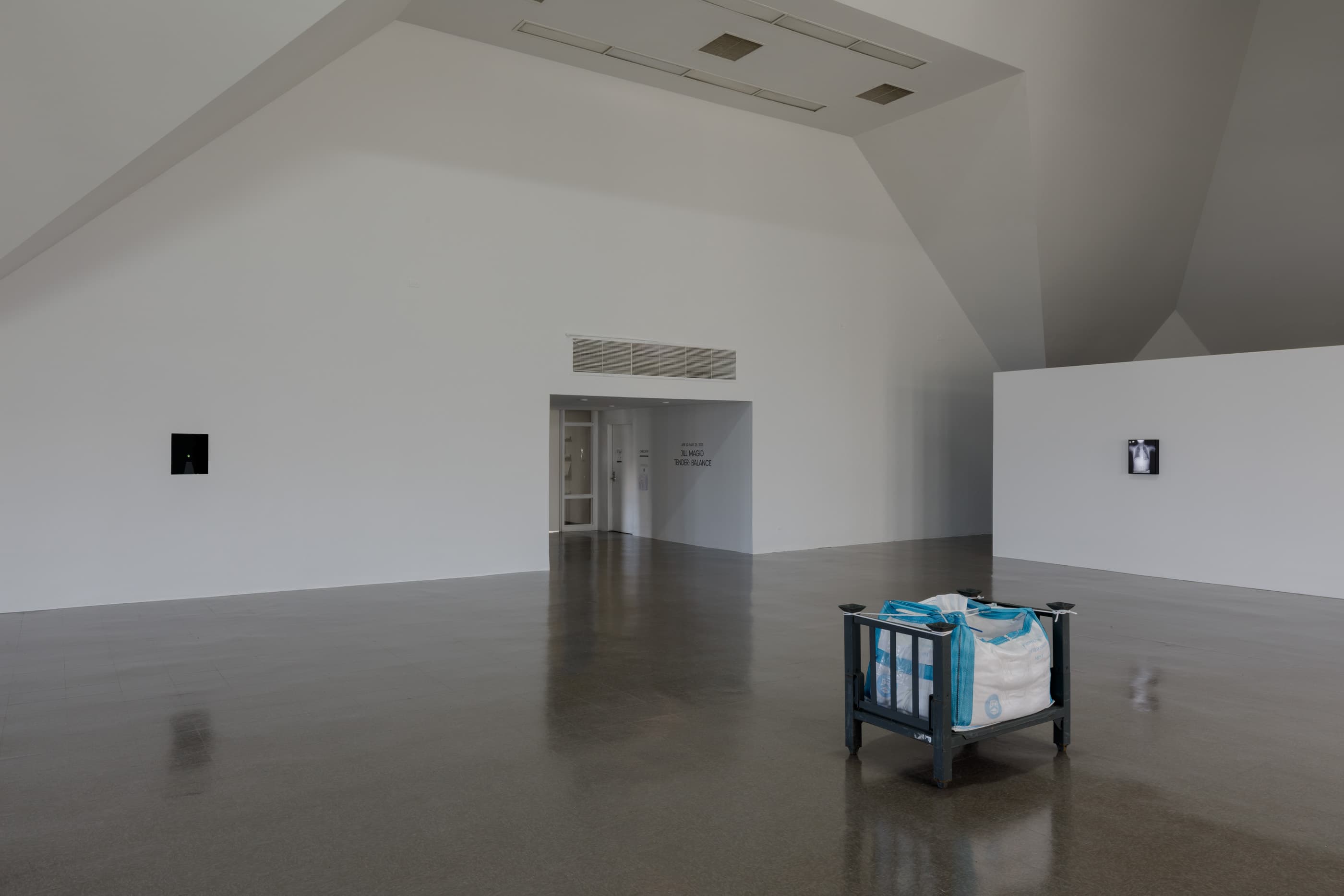JILL MAGID, TENDER: BALANCE, INSTALLATION VIEW, THE RENAISSANCE SOCIETY, 2021. PHOTO: USEFUL ART SERVICES.