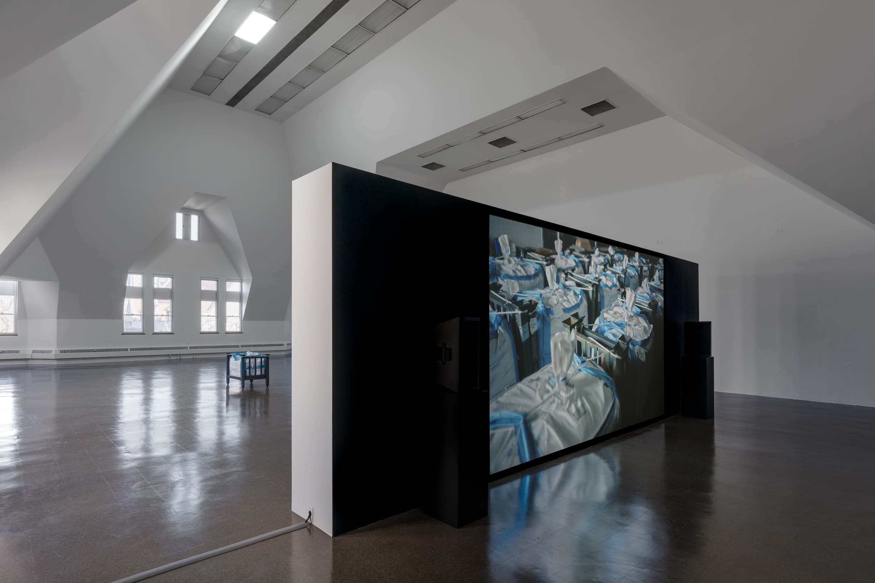 JILL MAGID, TENDER: BALANCE, INSTALLATION VIEW, THE RENAISSANCE SOCIETY, 2021. PHOTO: USEFUL ART SERVICES.