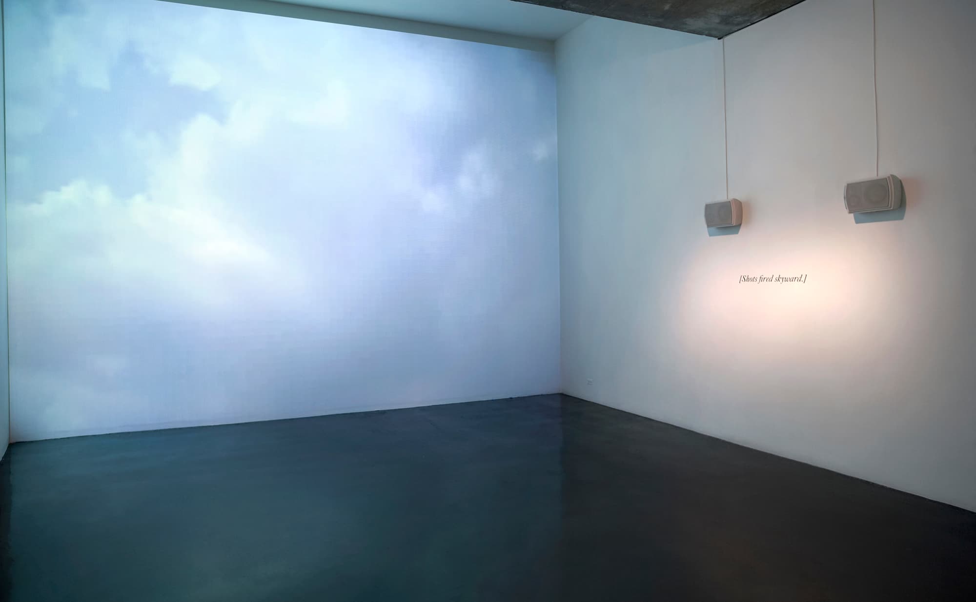 Closet Drama, Installation view, BAM Matrix, 2011